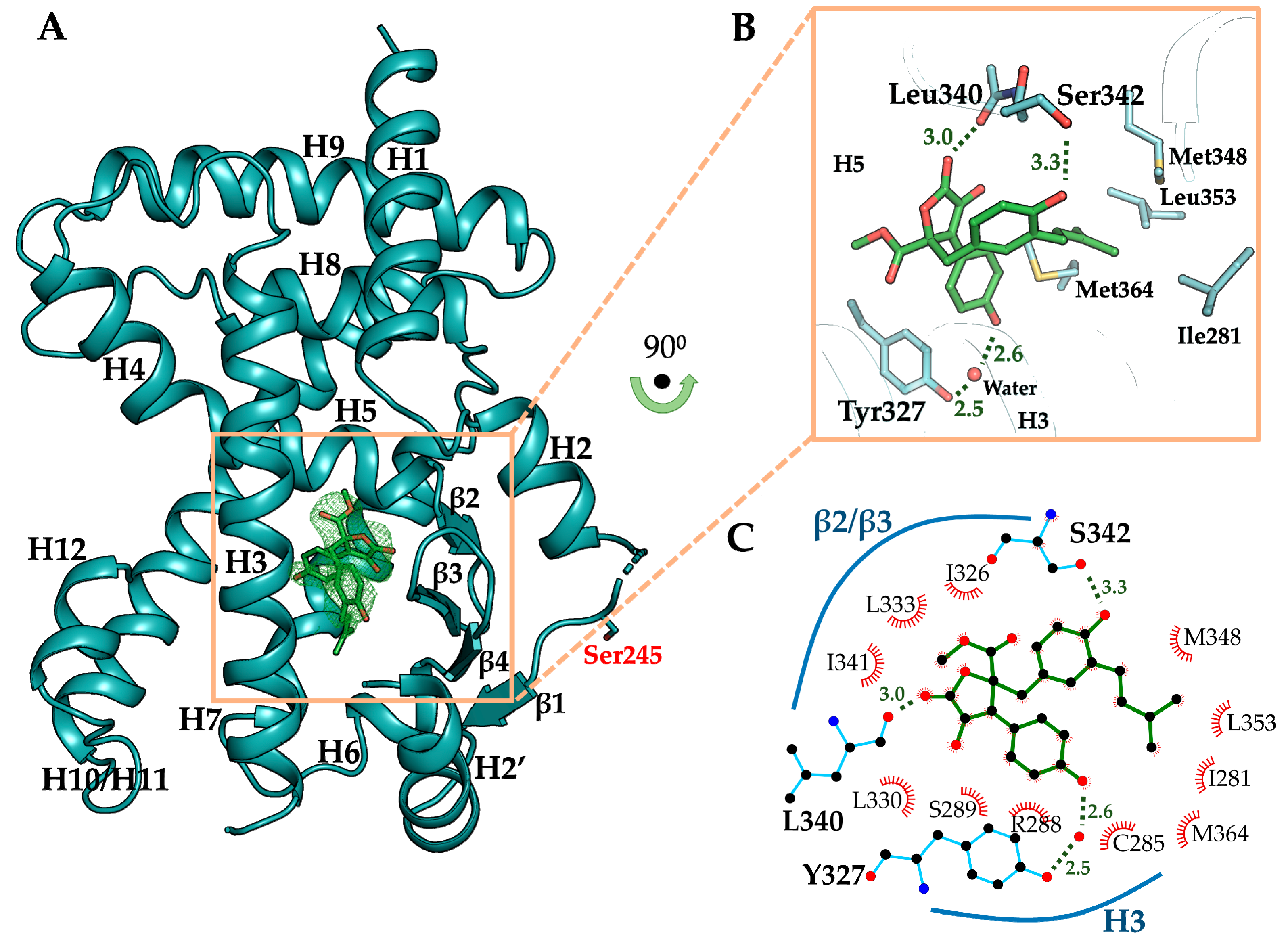 Biomolecules Free Full Text Cyclin Dependent Kinase 5 Inhibitor Butyrolactone I Elicits A Partial Agonist Activity Of Peroxisome Proliferator Activated Receptor G Html