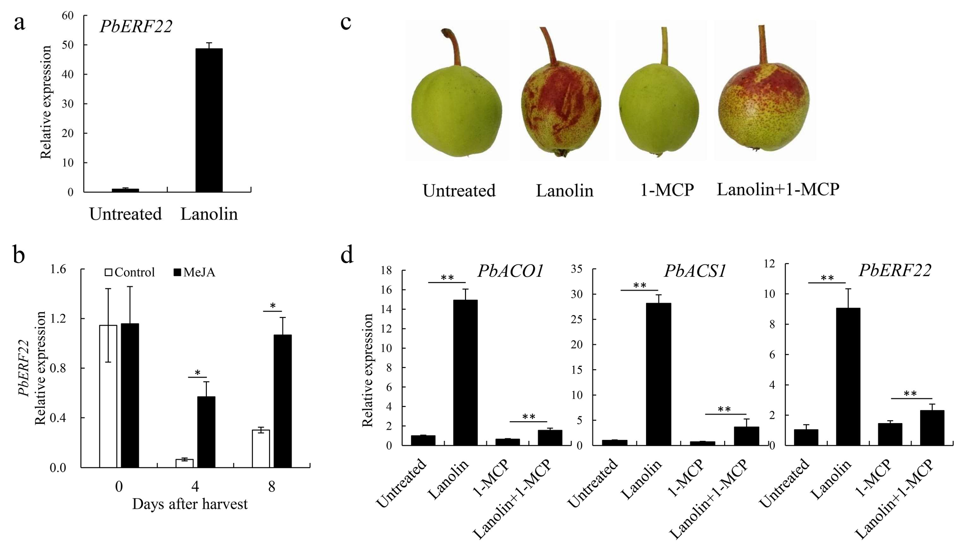 Biomolecules 10 00278 g004