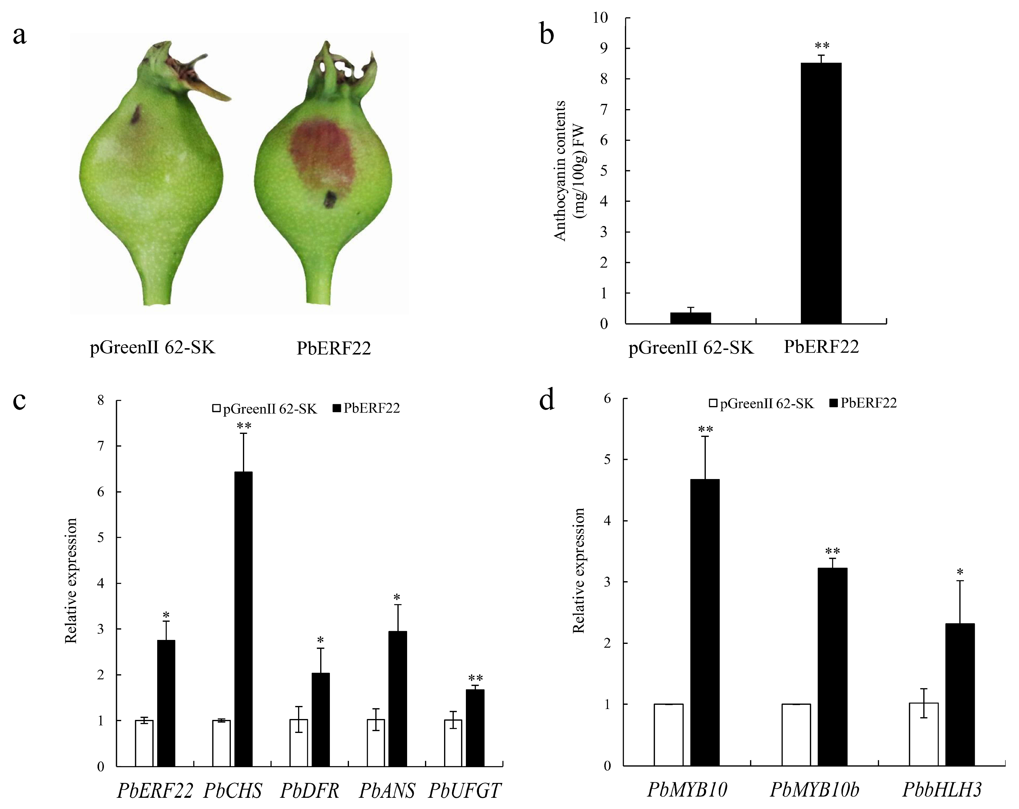 Biomolecules 10 00278 g005