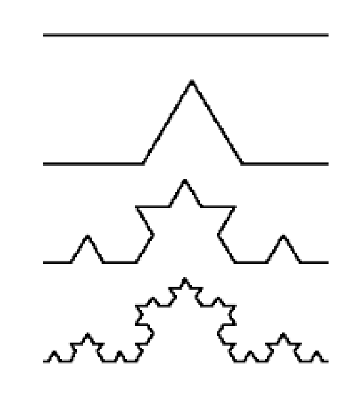 Biomolecules 10 00282 g003