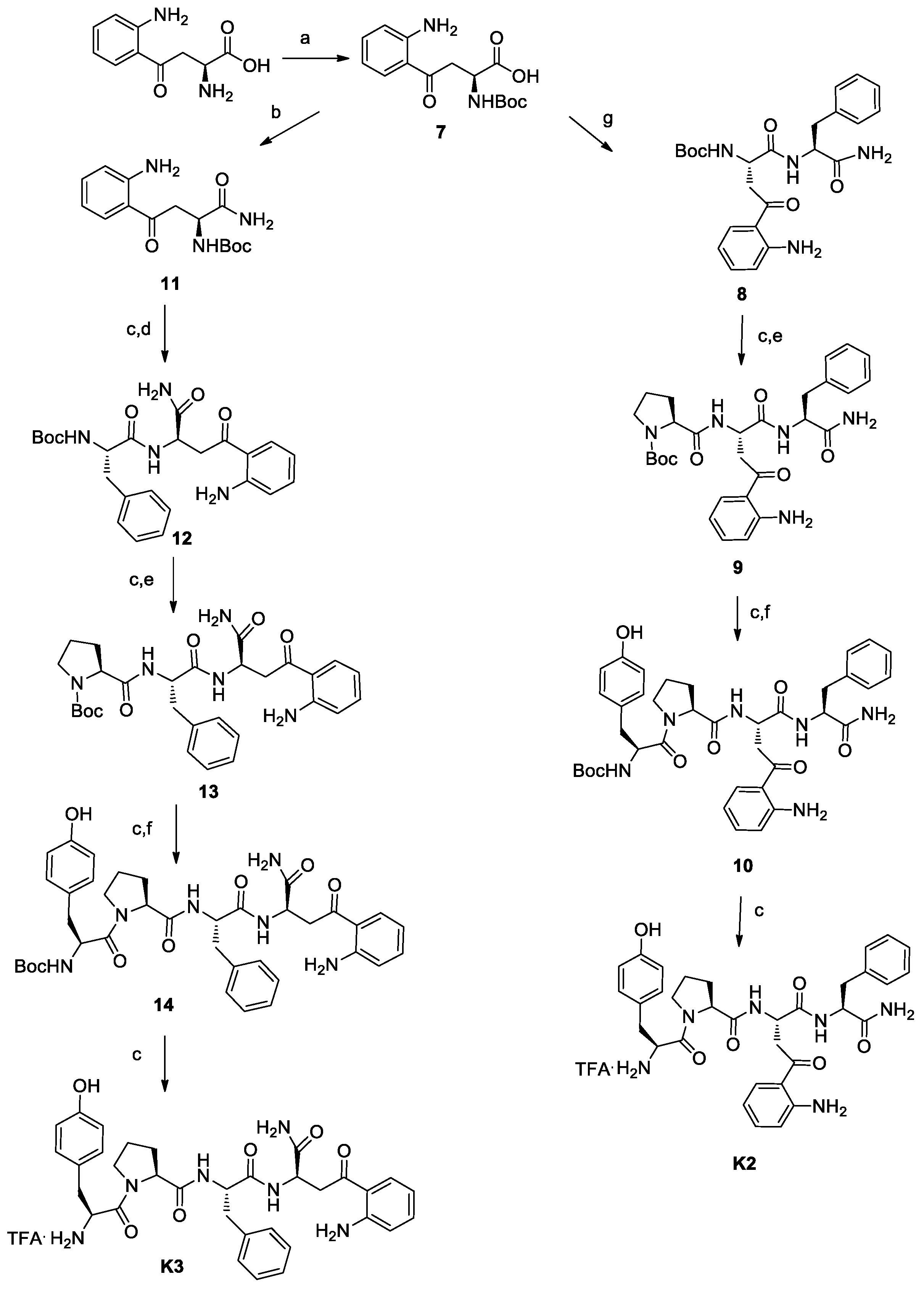Biomolecules 10 00284 sch002