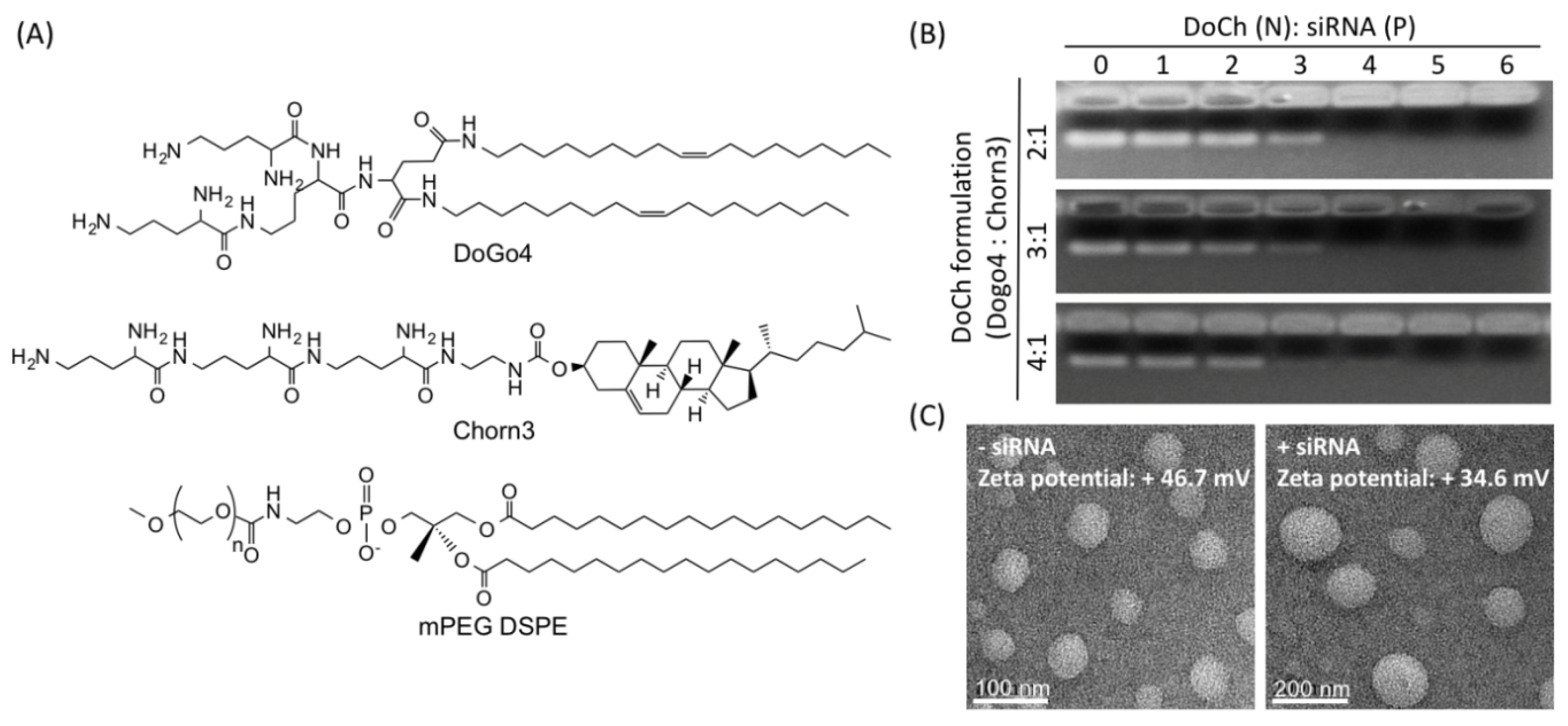 Biomolecules 10 00285 g001