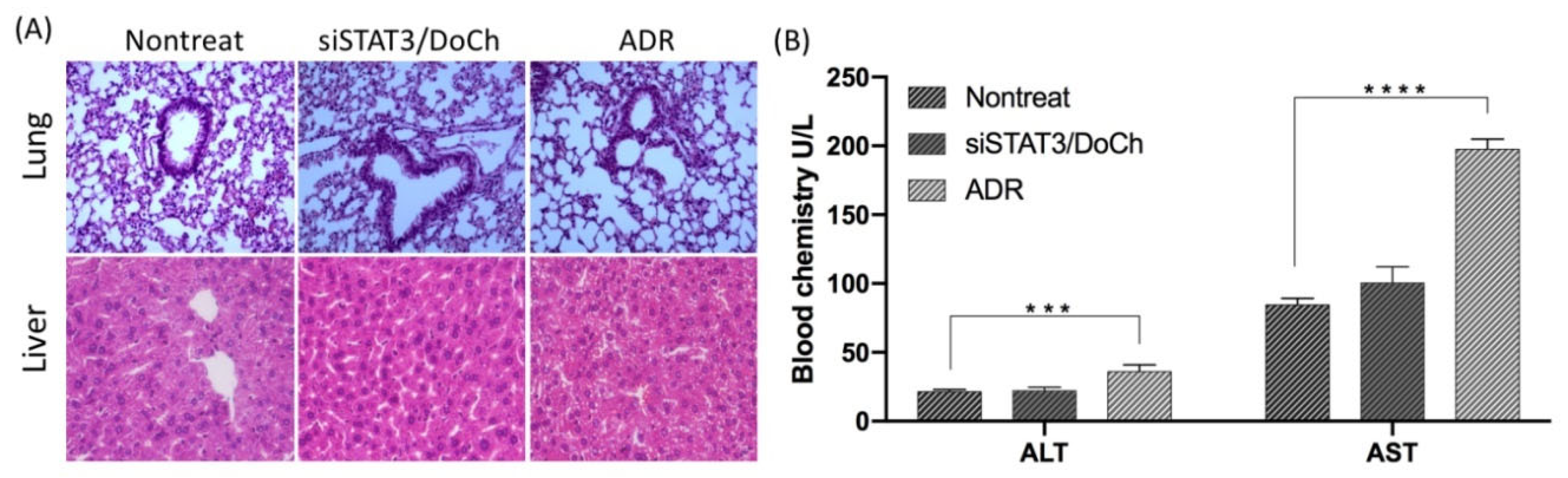 Biomolecules 10 00285 g008
