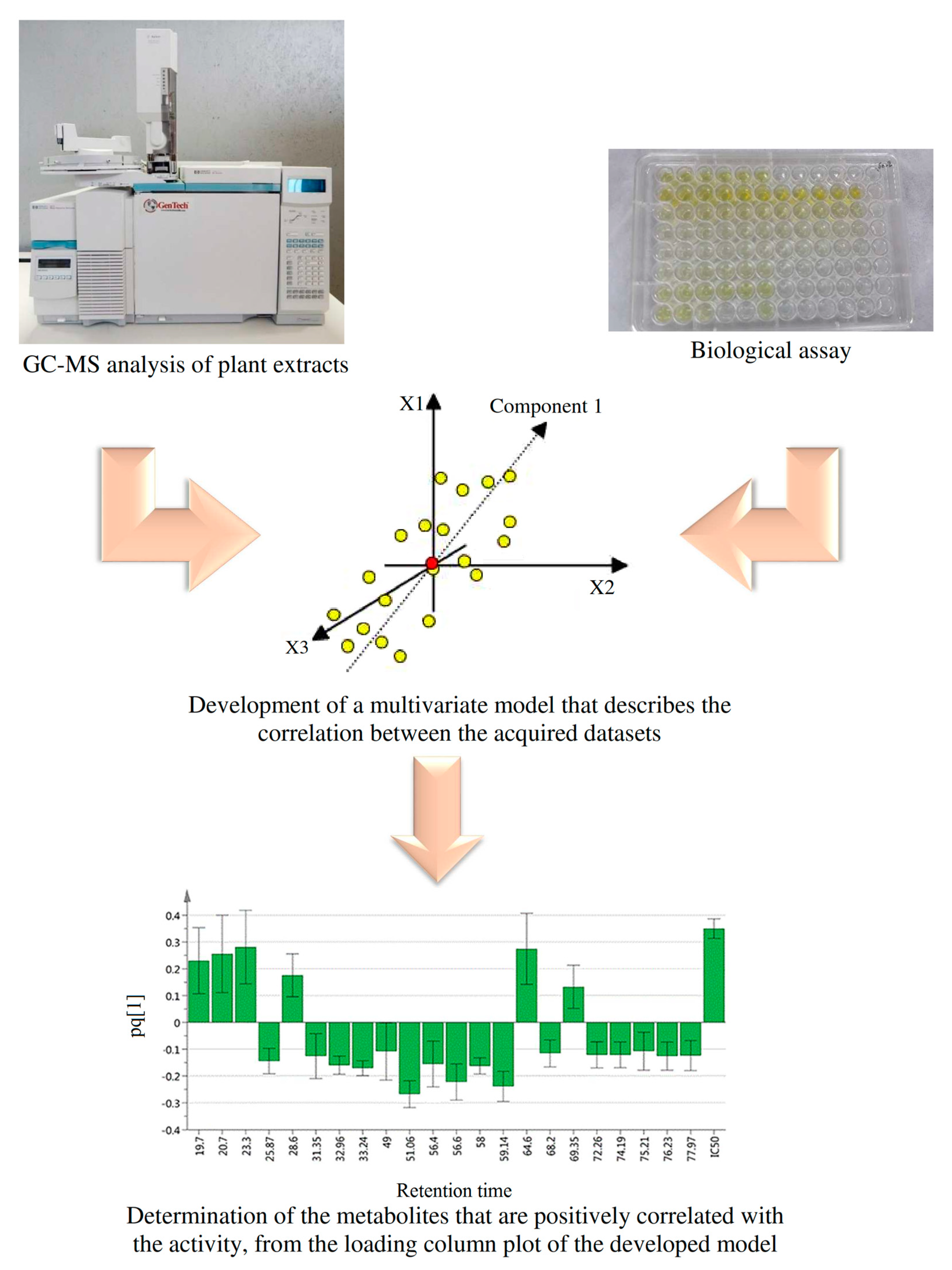 Biomolecules 10 00287 g001 Biomolecules 10 00287 g001