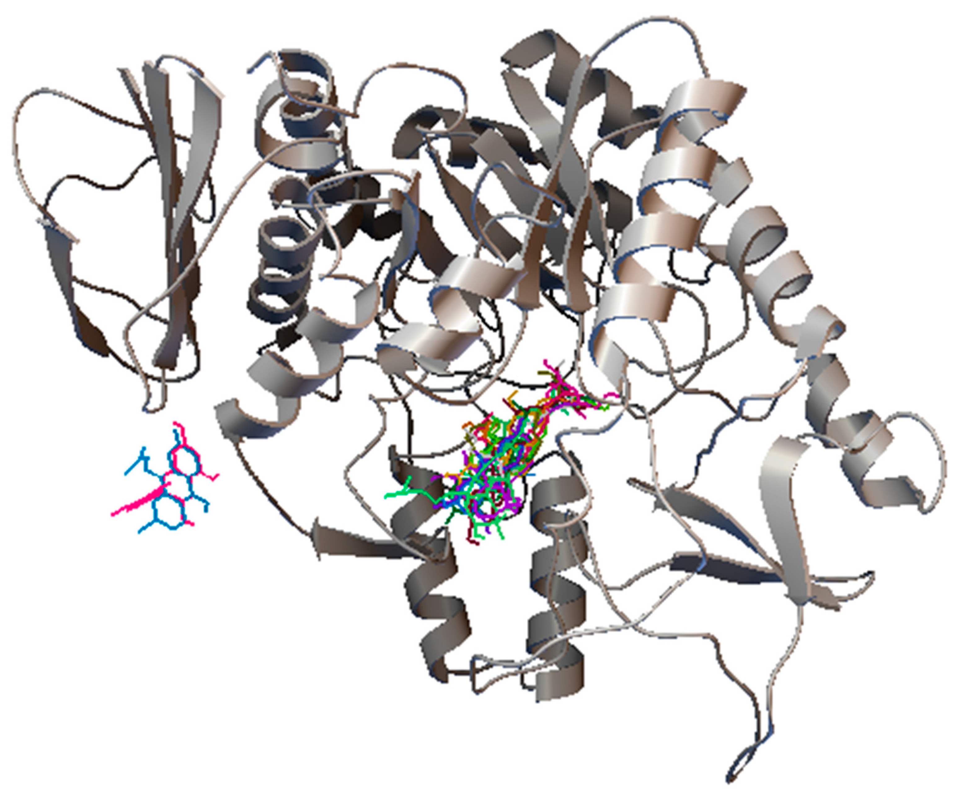 Biomolecules 10 00287 g007 Biomolecules 10 00287 g007