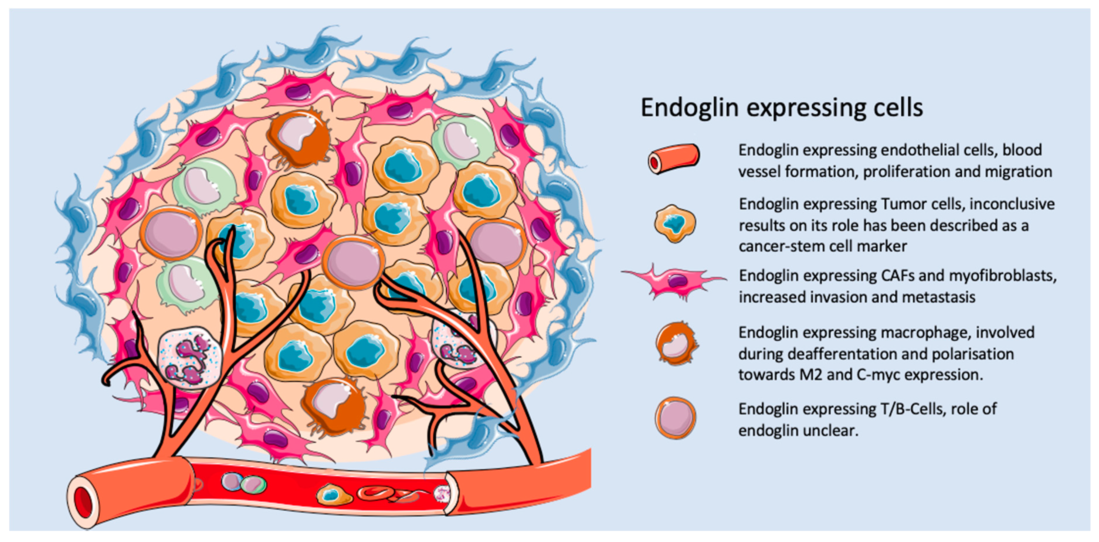 Biomolecules 10 00289 g002 Biomolecules 10 00289 g002