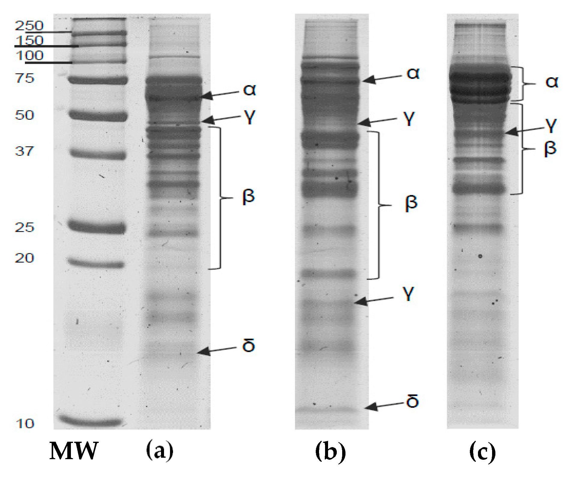 Biomolecules 10 00292 g006