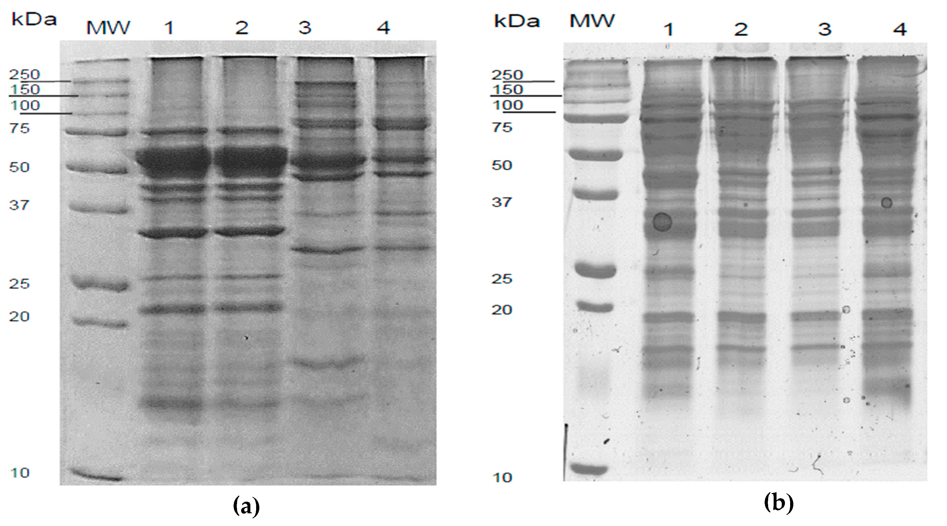 Biomolecules 10 00292 g009