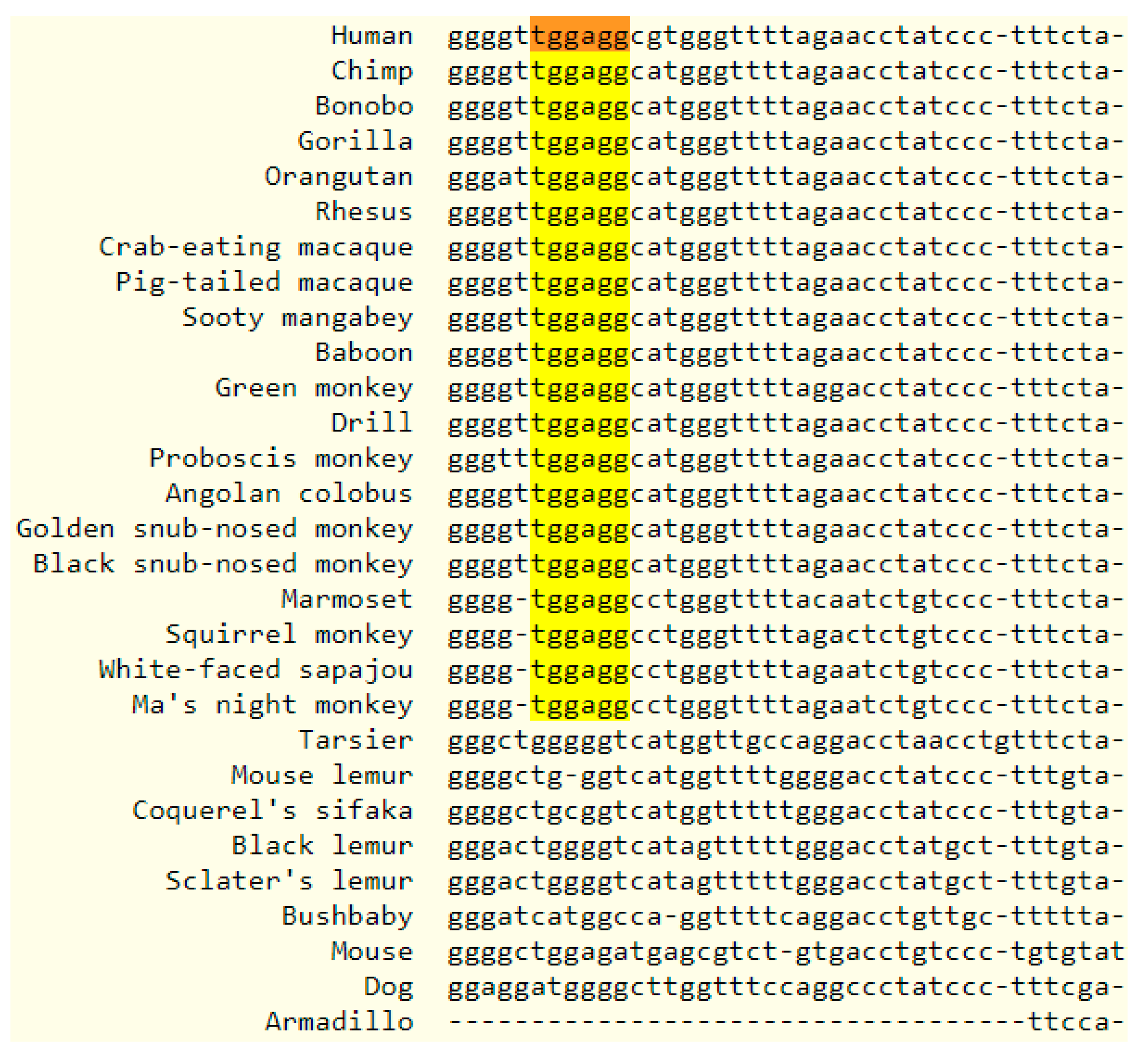 Biomolecules 10 00293 g003 Biomolecules 10 00293 g003