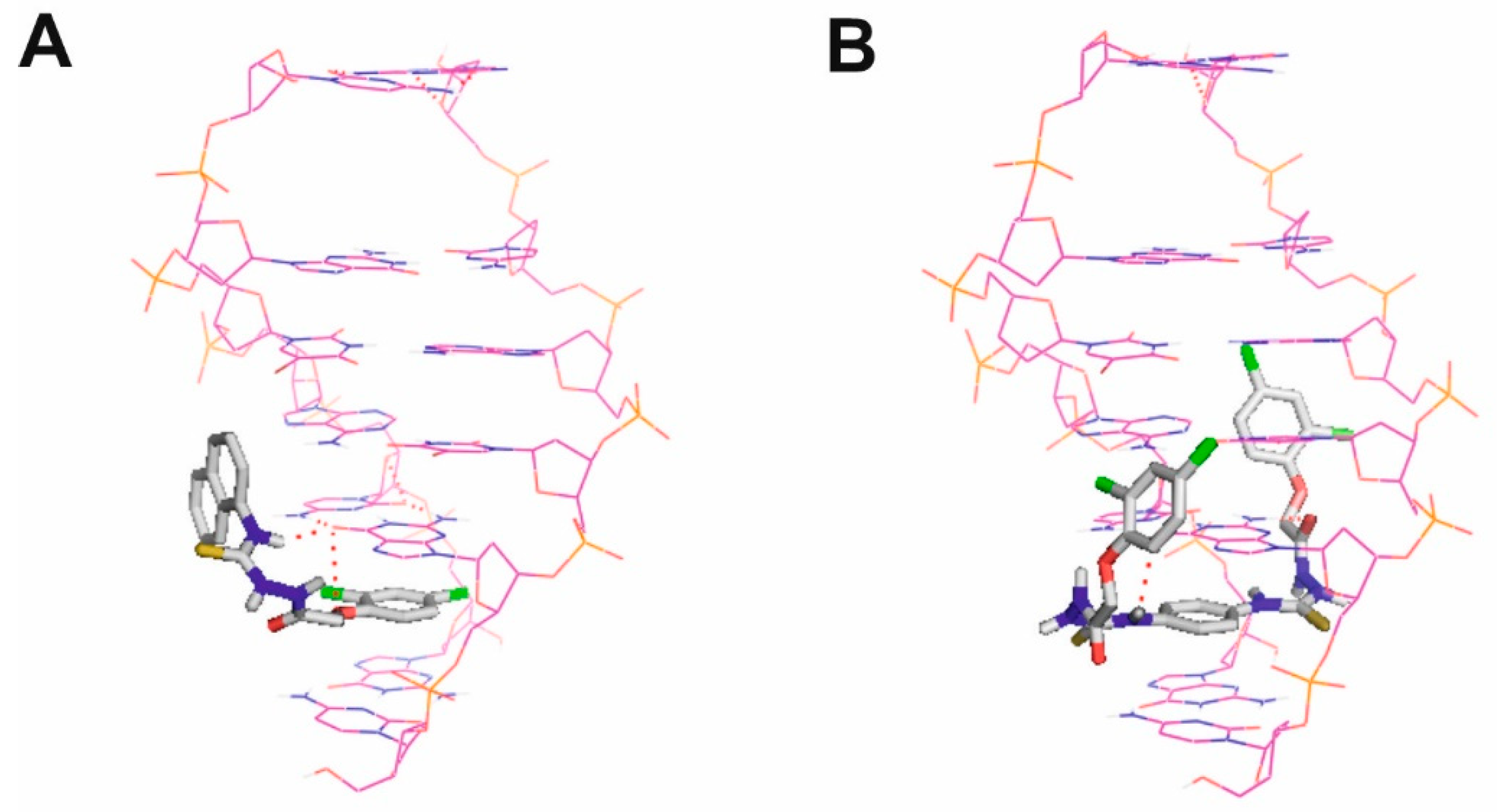 Biomolecules 10 00296 g012