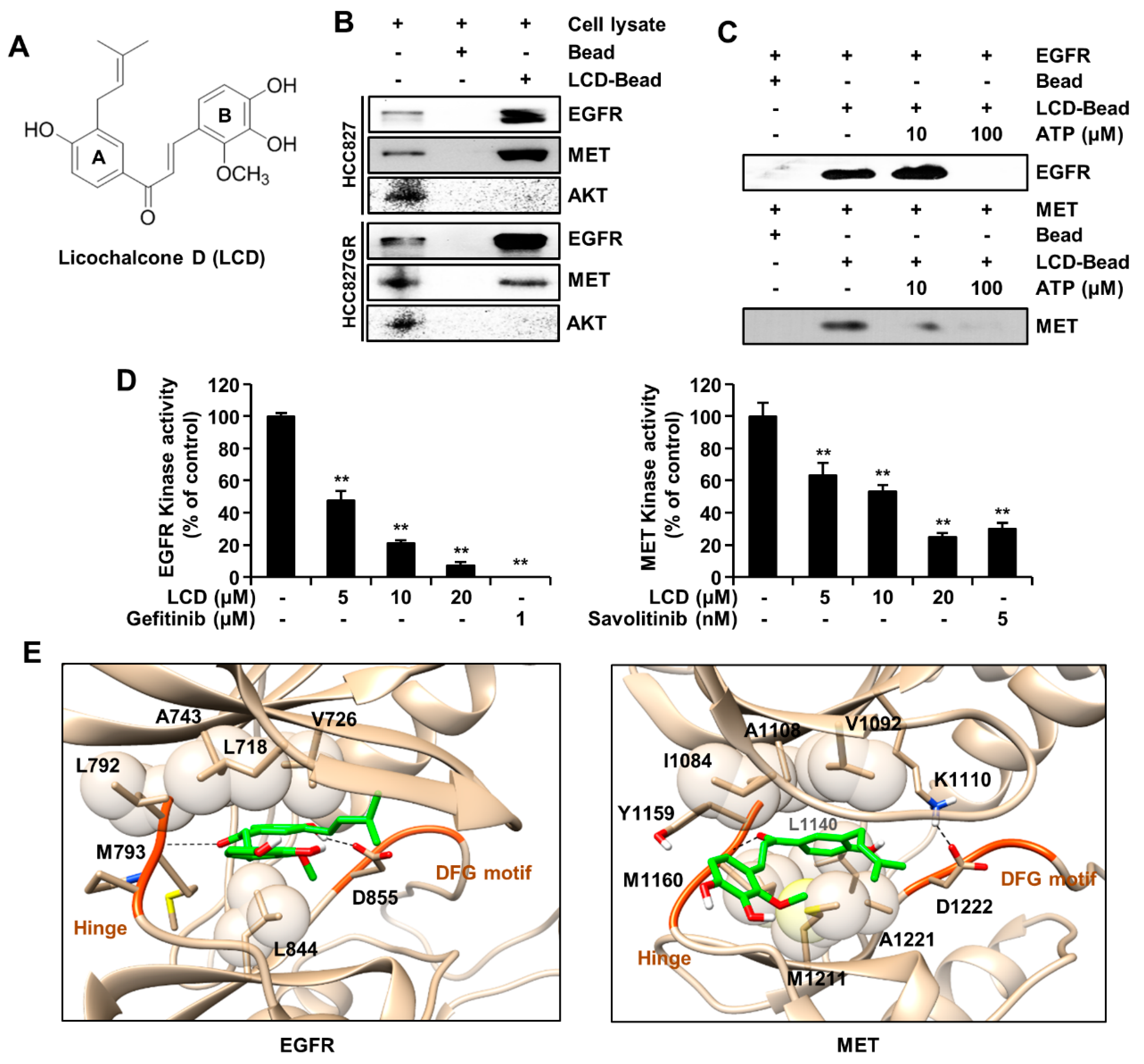 Biomolecules 10 00297 g001
