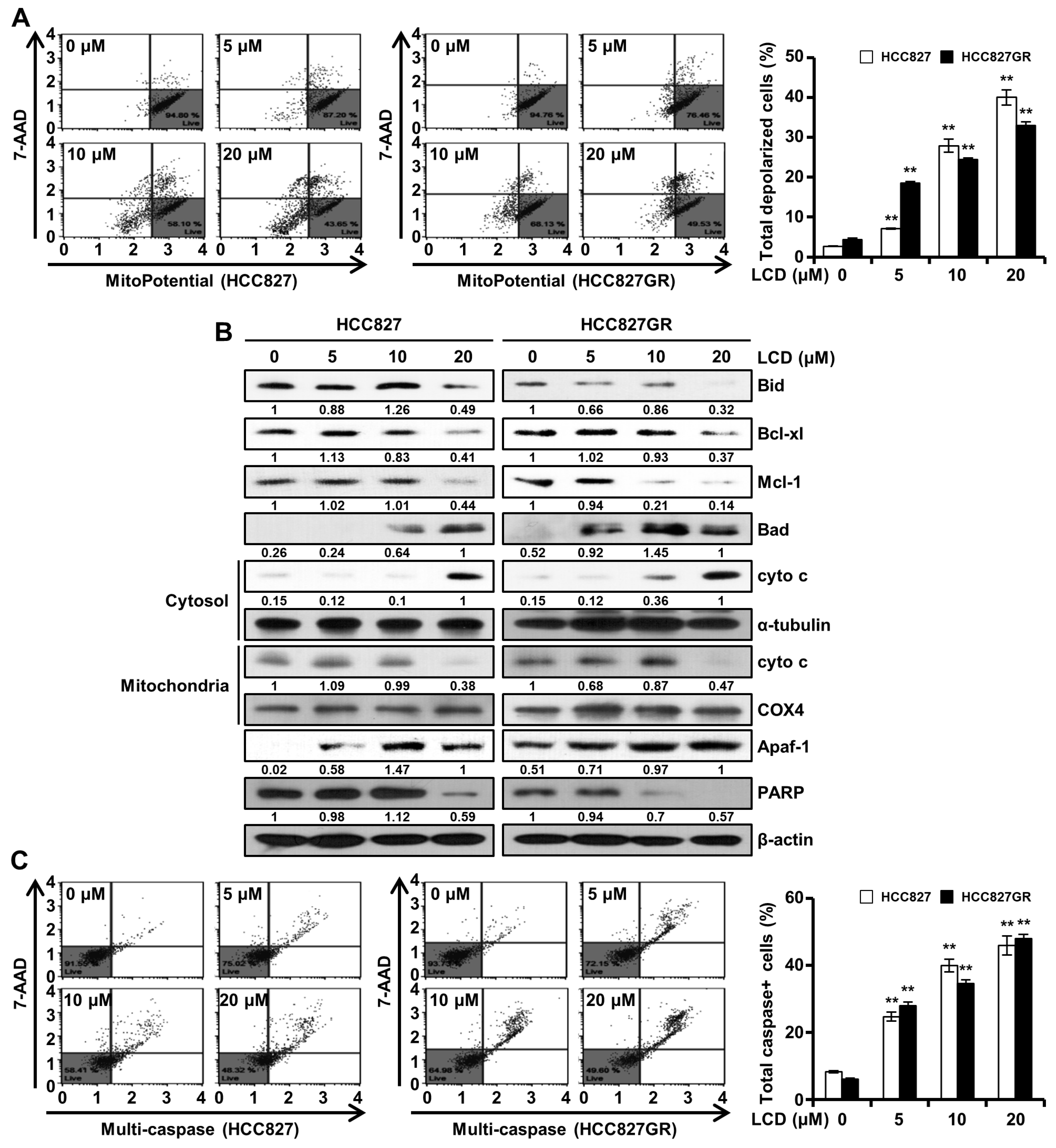 Biomolecules 10 00297 g006