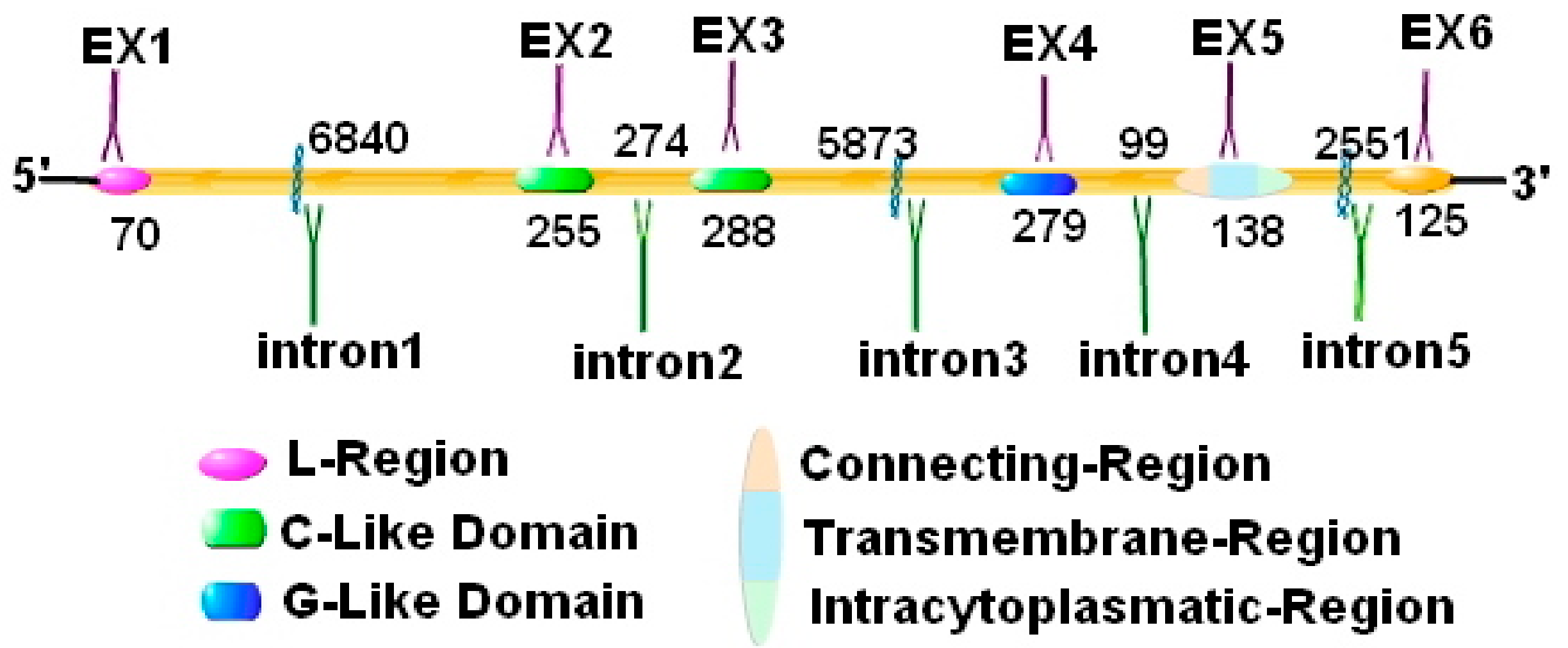 Biomolecules 10 00301 g004 Biomolecules 10 00301 g004