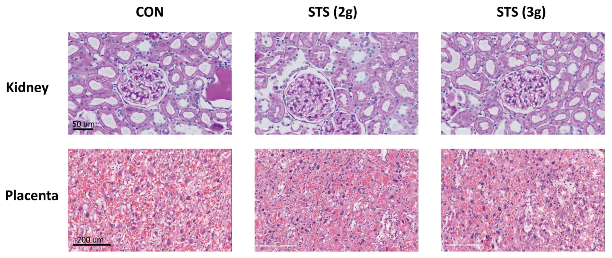 Biomolecules 10 00302 g0a2