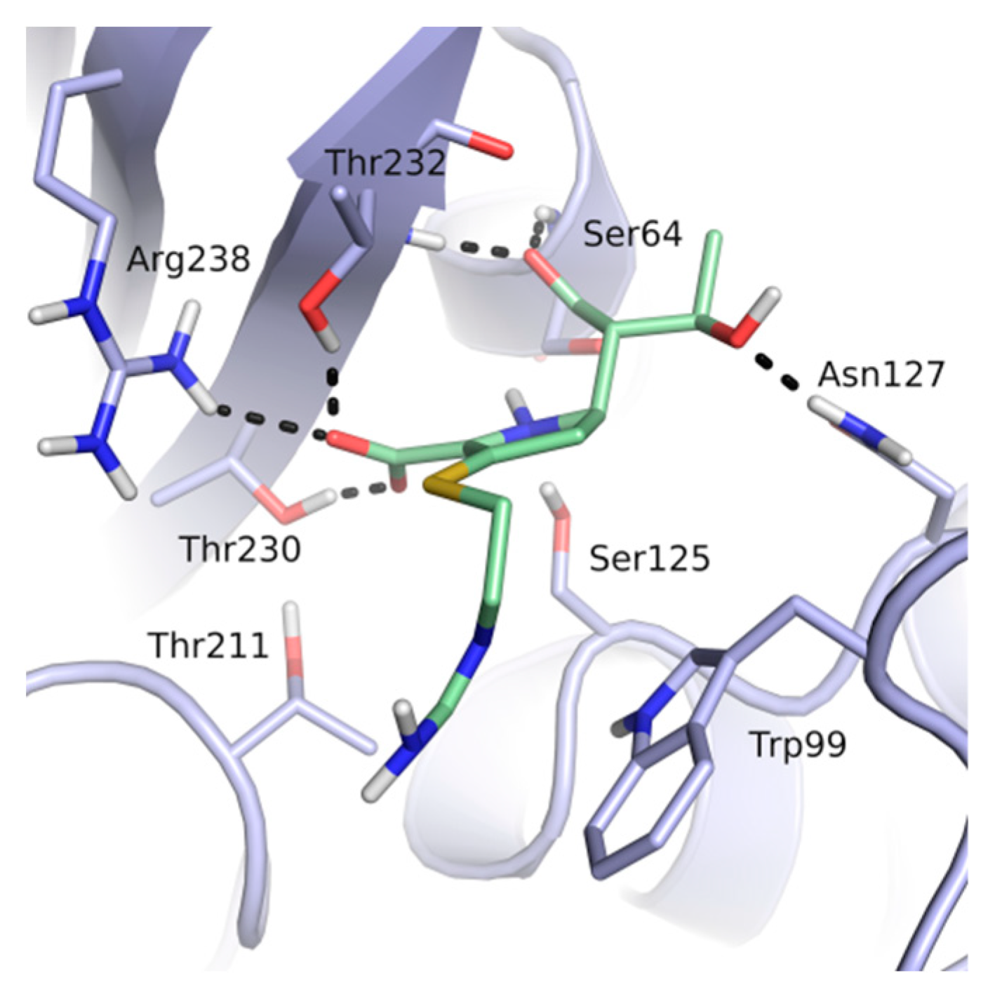 Biomolecules 10 00304 g001 Biomolecules 10 00304 g001