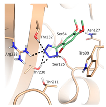 Biomolecules 10 00304 i002 Biomolecules 10 00304 i002