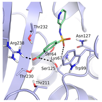 Biomolecules 10 00304 i004 Biomolecules 10 00304 i004
