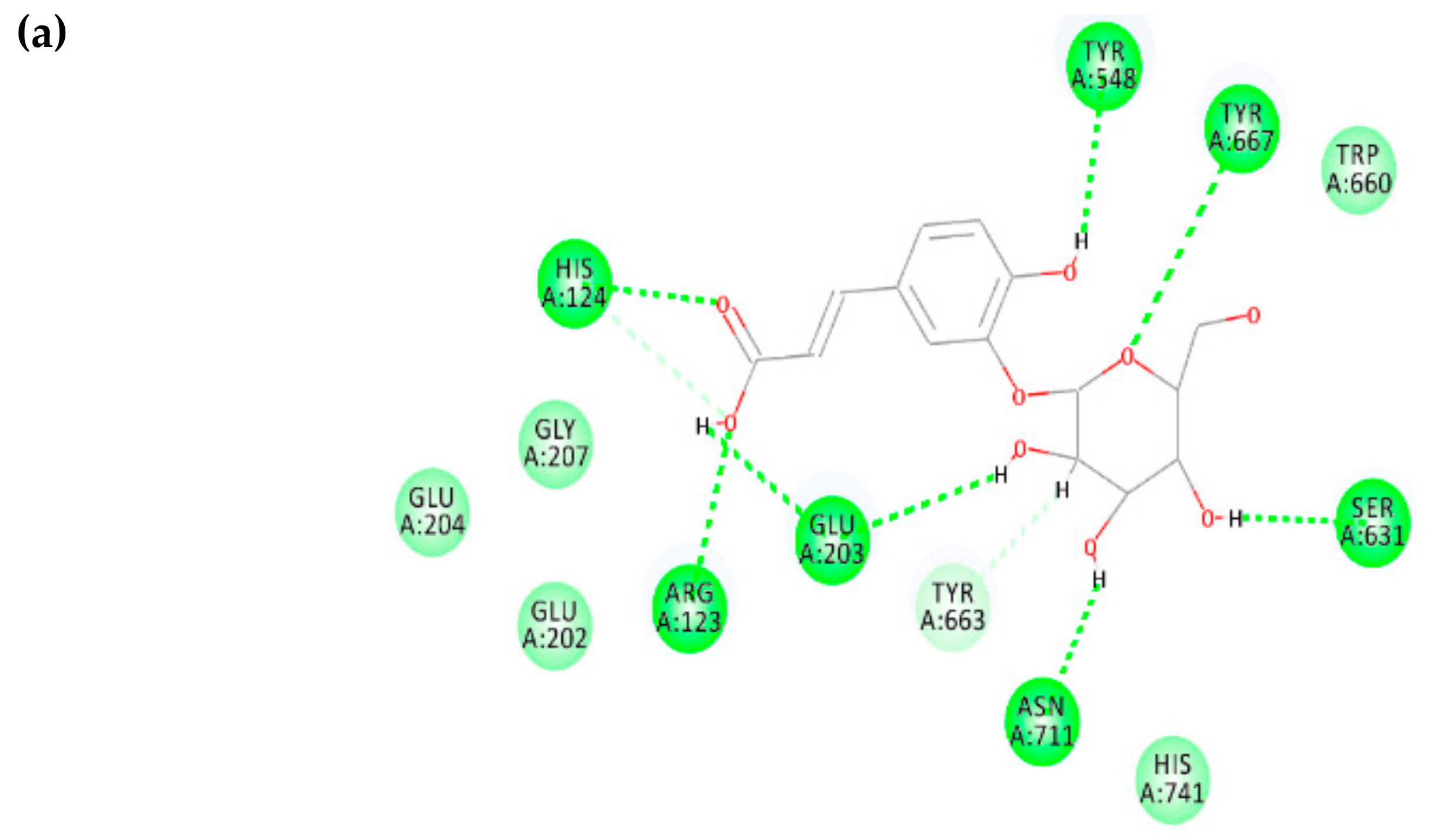 Biomolecules 10 00305 g008a Biomolecules 10 00305 g008a