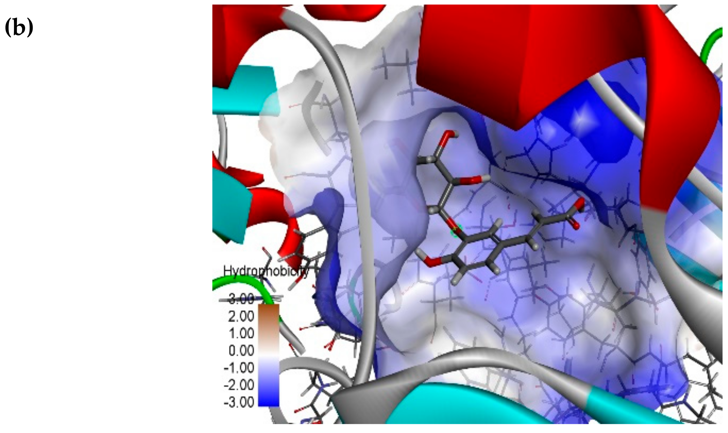 Biomolecules 10 00305 g008b Biomolecules 10 00305 g008b