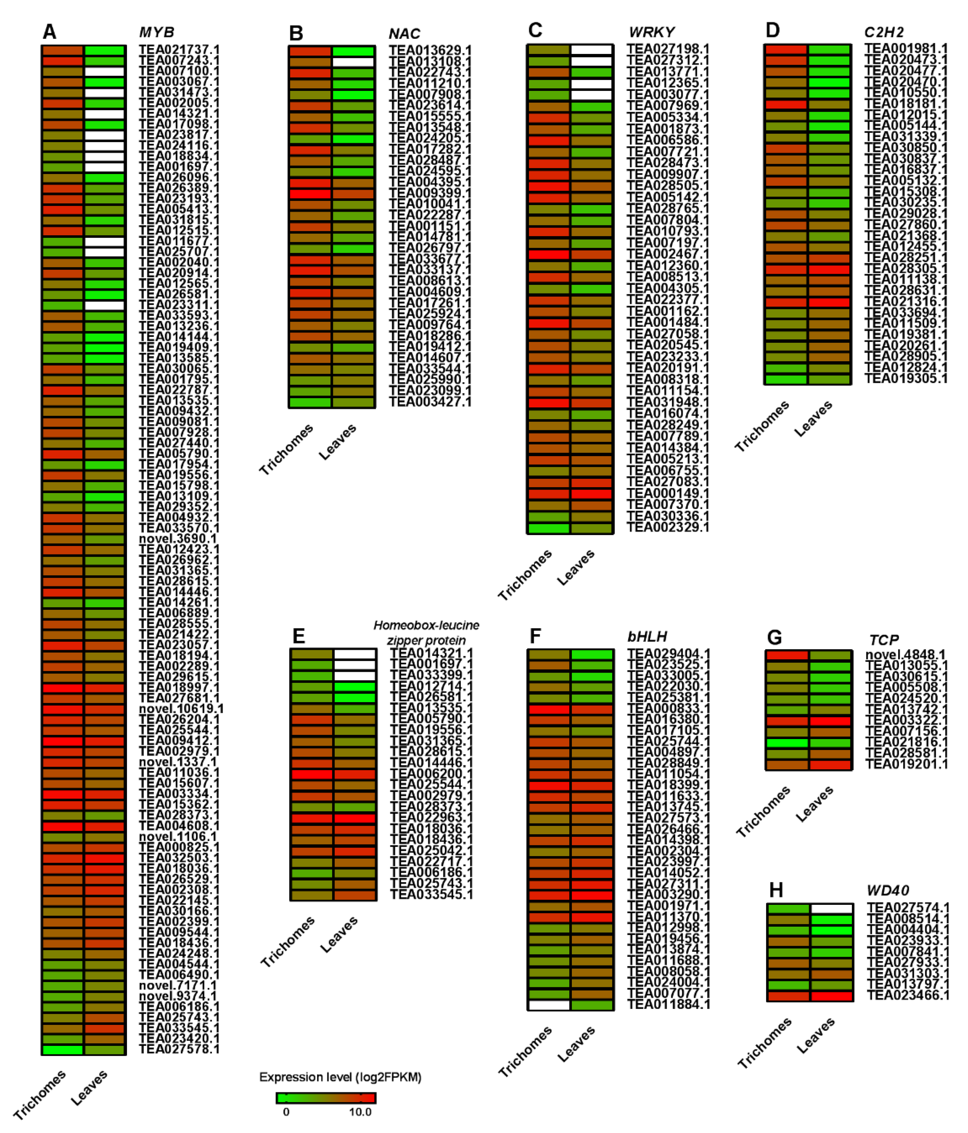 Biomolecules 10 00311 g004