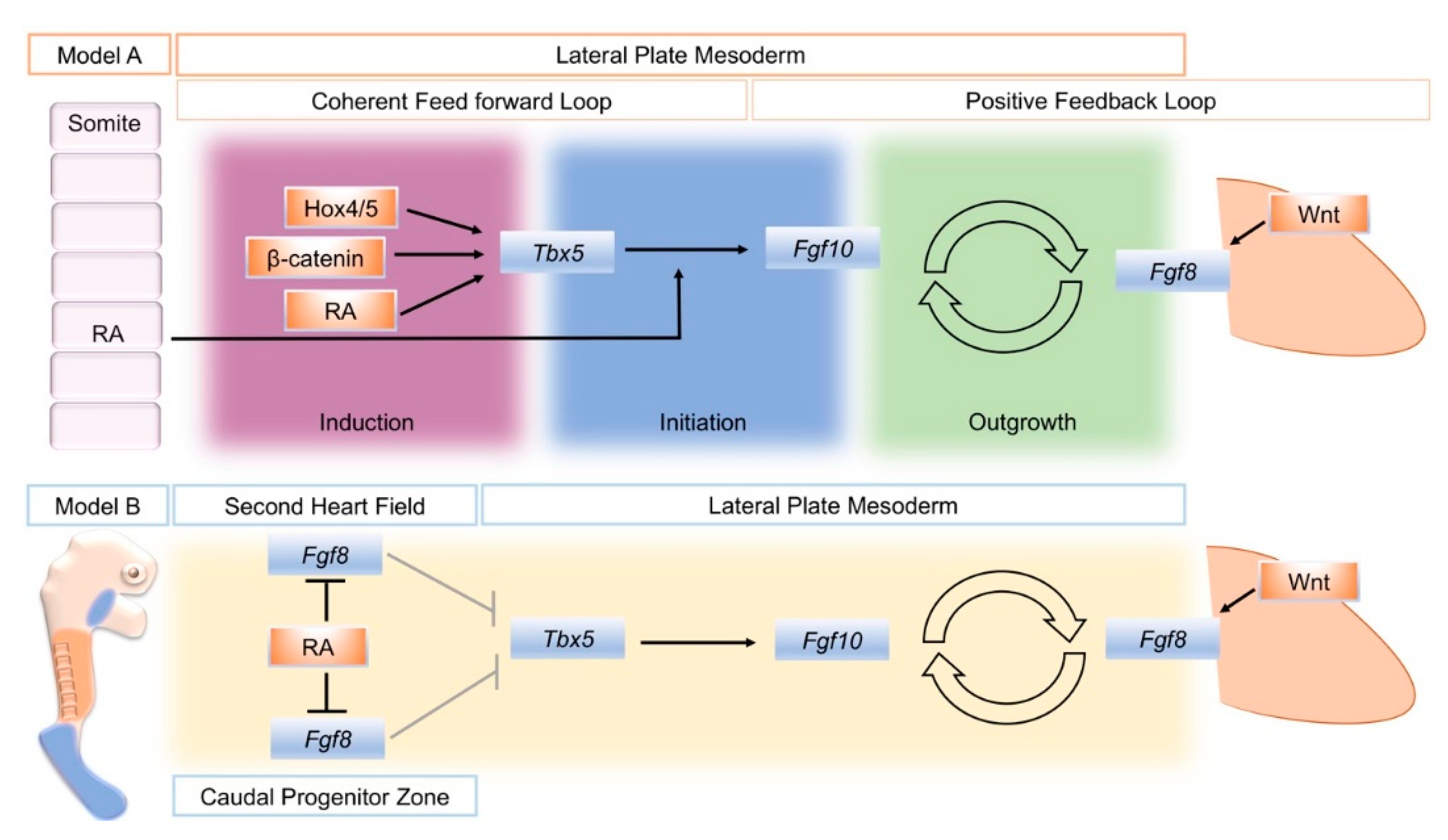 Biomolecules 10 00312 g001 Biomolecules 10 00312 g001