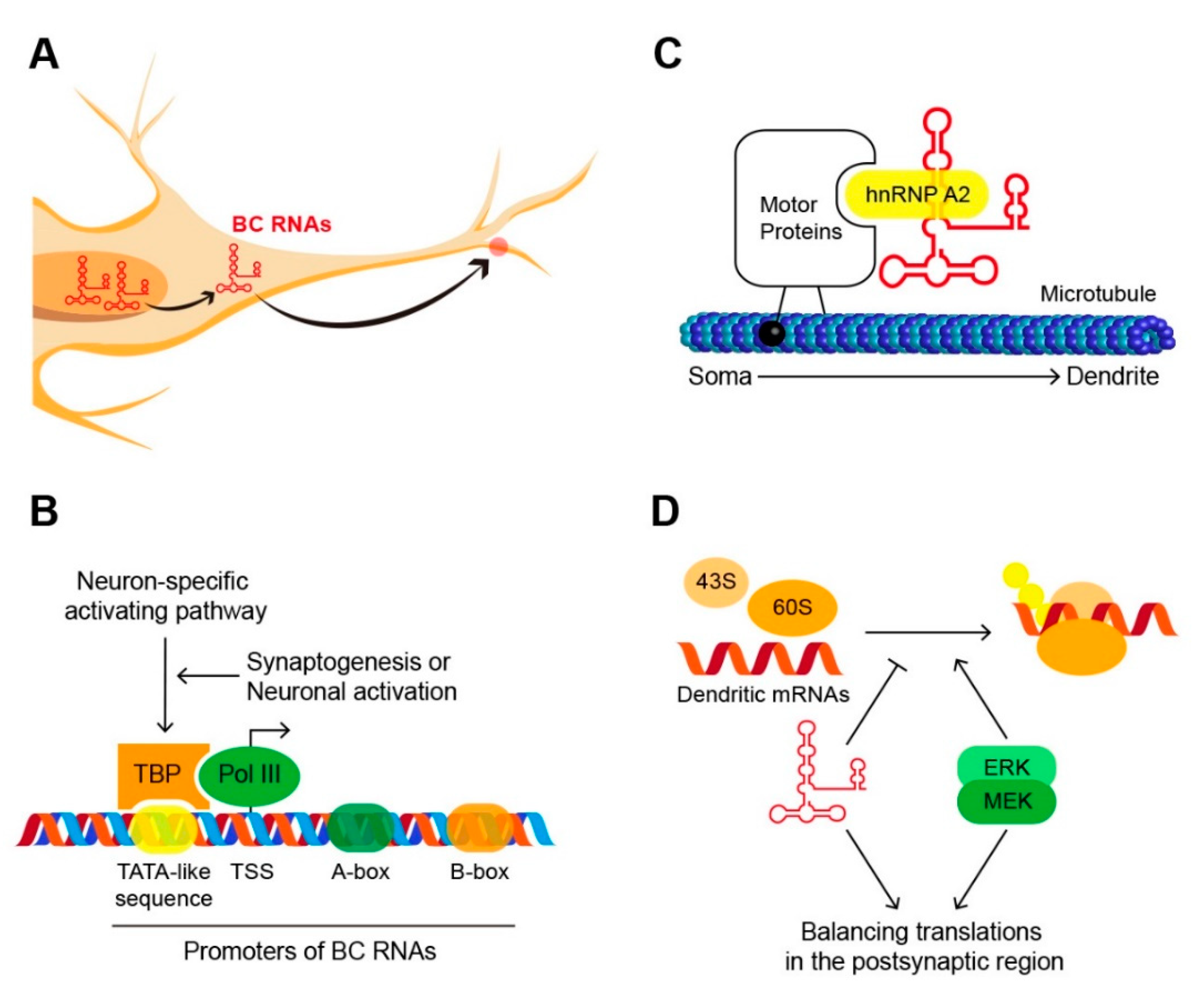 Biomolecules 10 00313 g001 Biomolecules 10 00313 g001