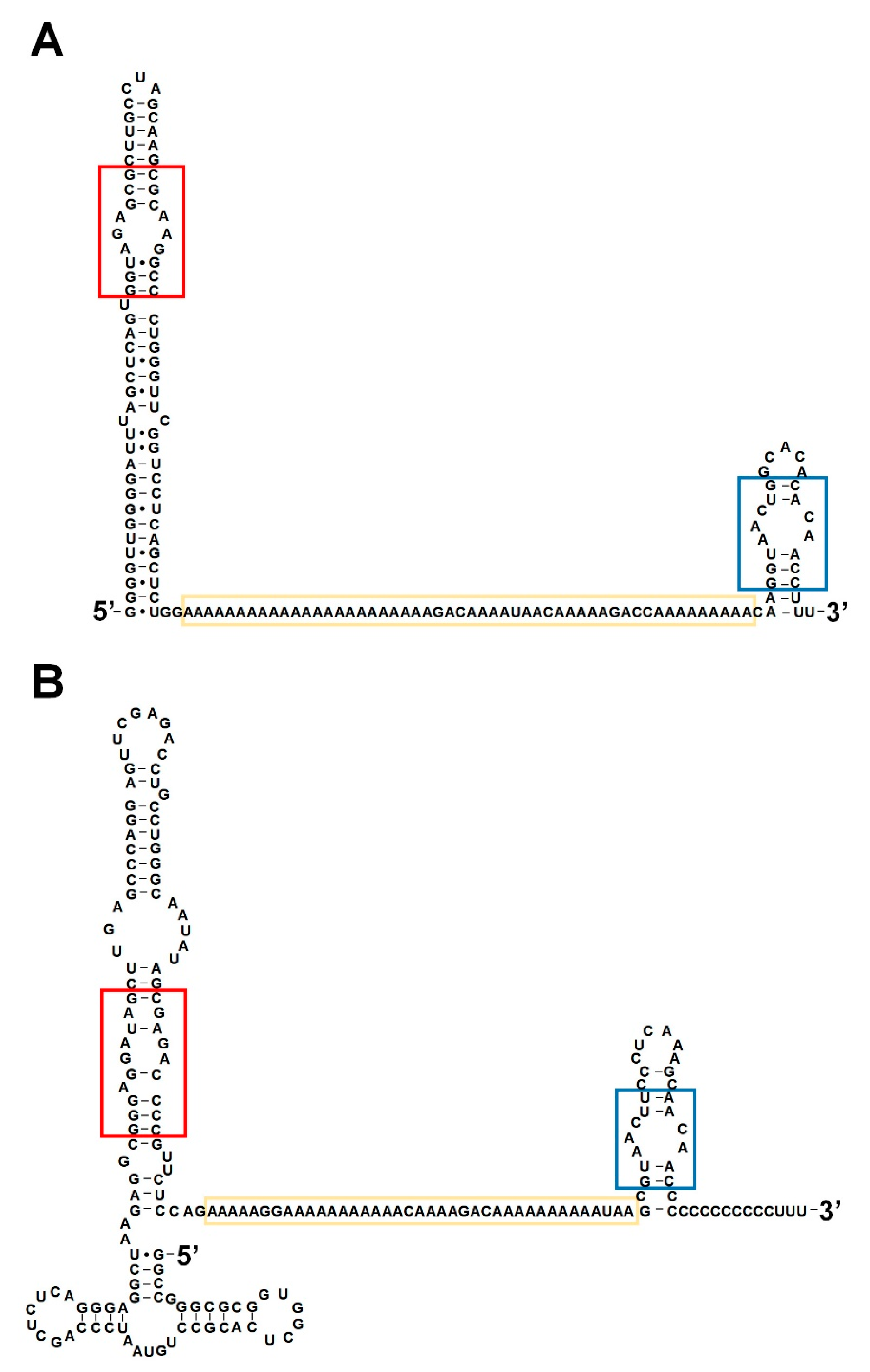 Biomolecules 10 00313 g002 Biomolecules 10 00313 g002