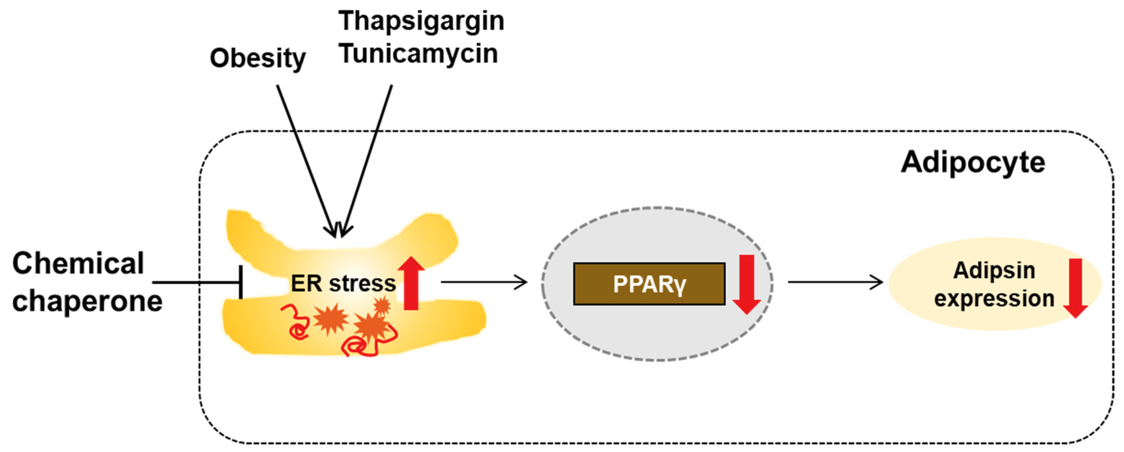 Biomolecules 10 00314 g008