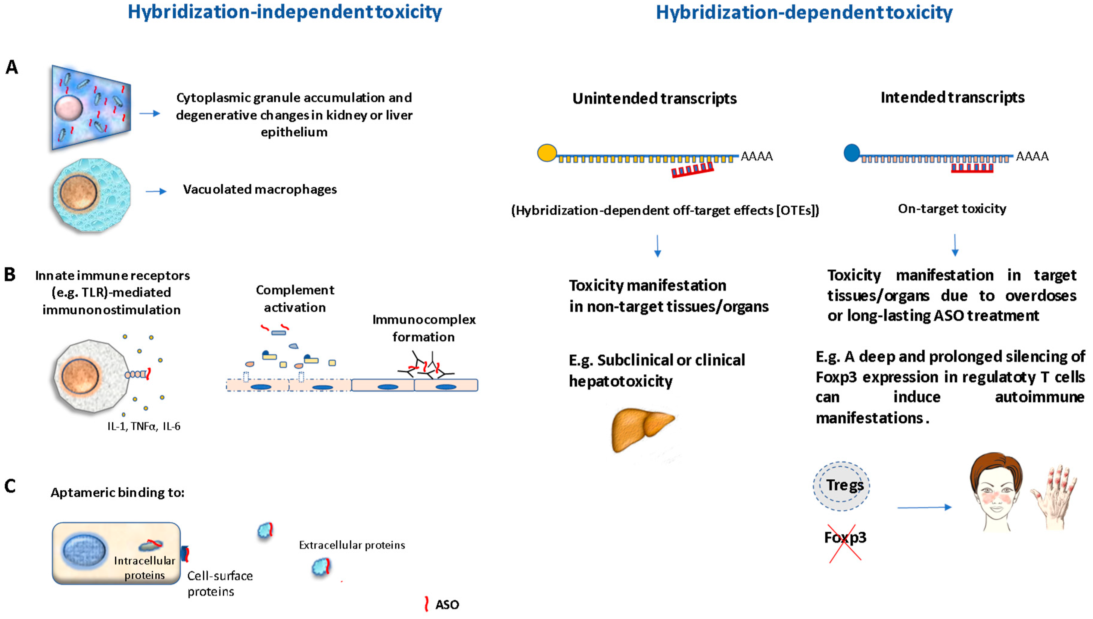 Biomolecules 10 00316 g002