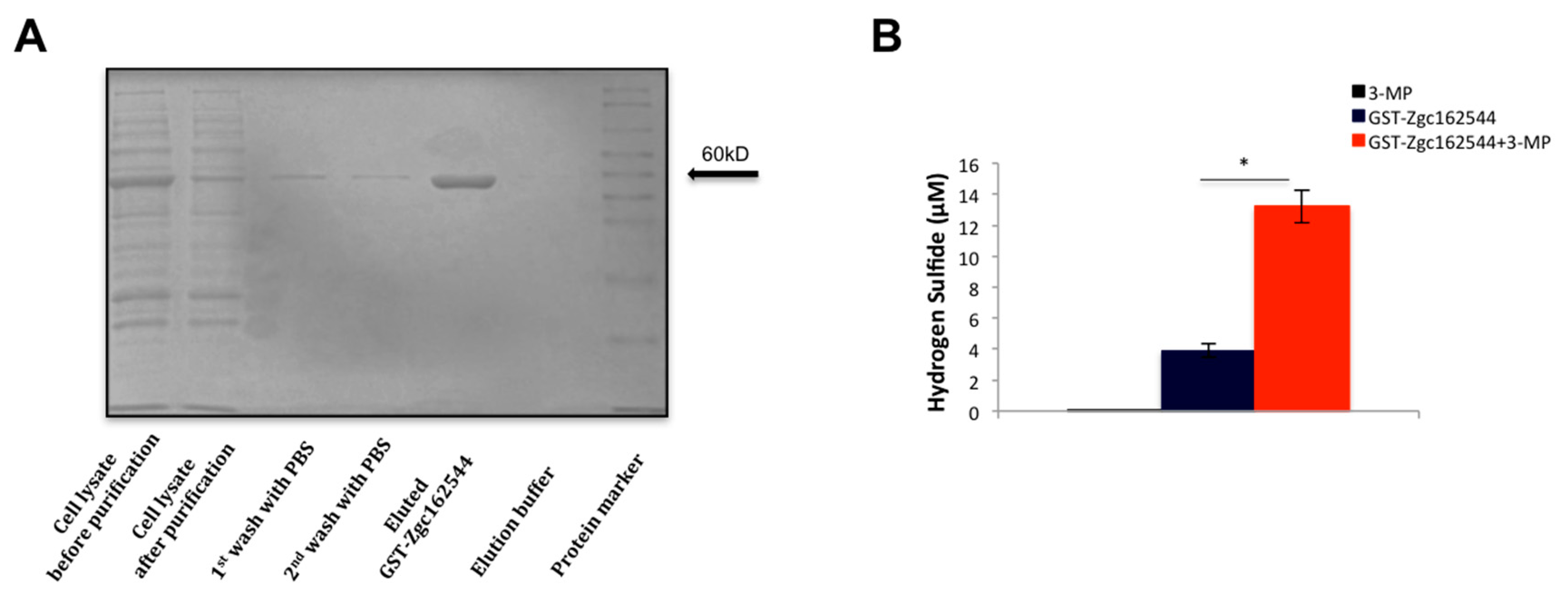 Biomolecules 10 00317 g001