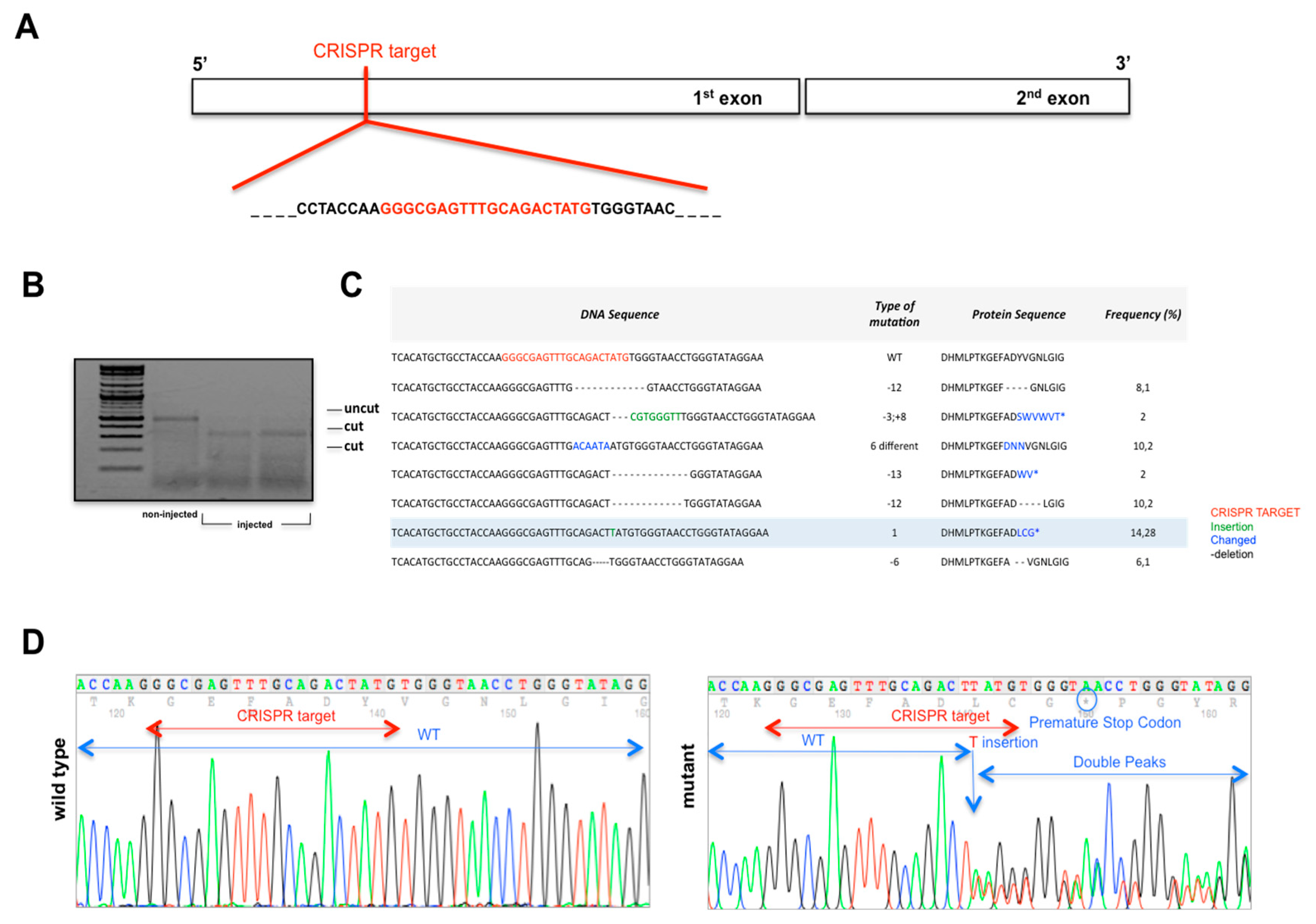 Biomolecules 10 00317 g003