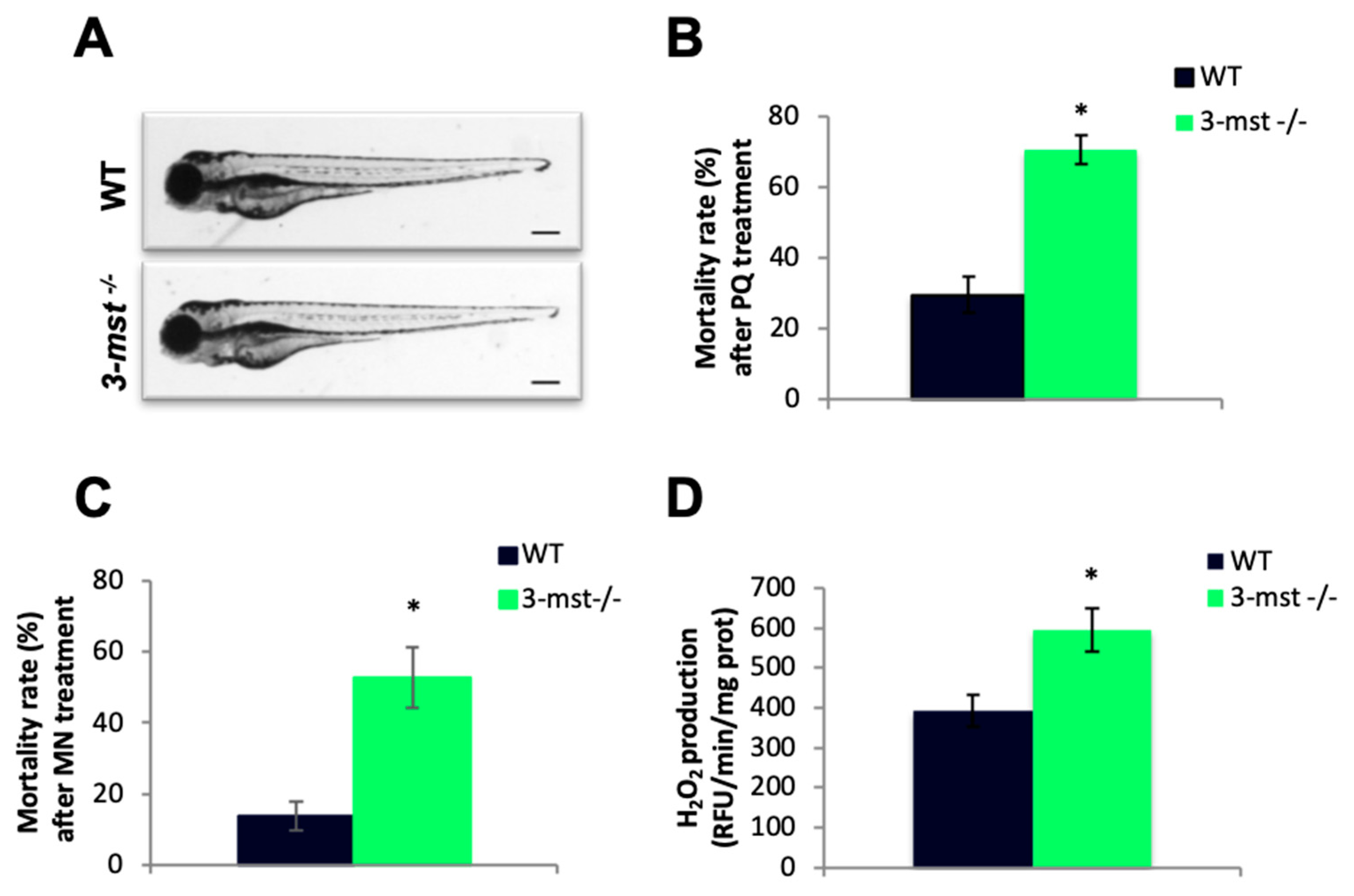 Biomolecules 10 00317 g005