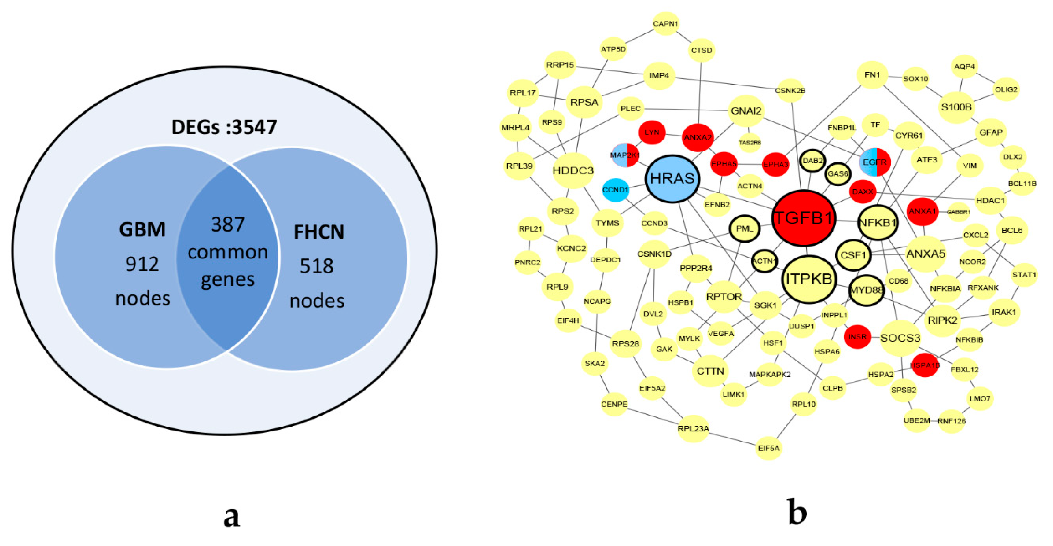 Biomolecules 10 00318 g004