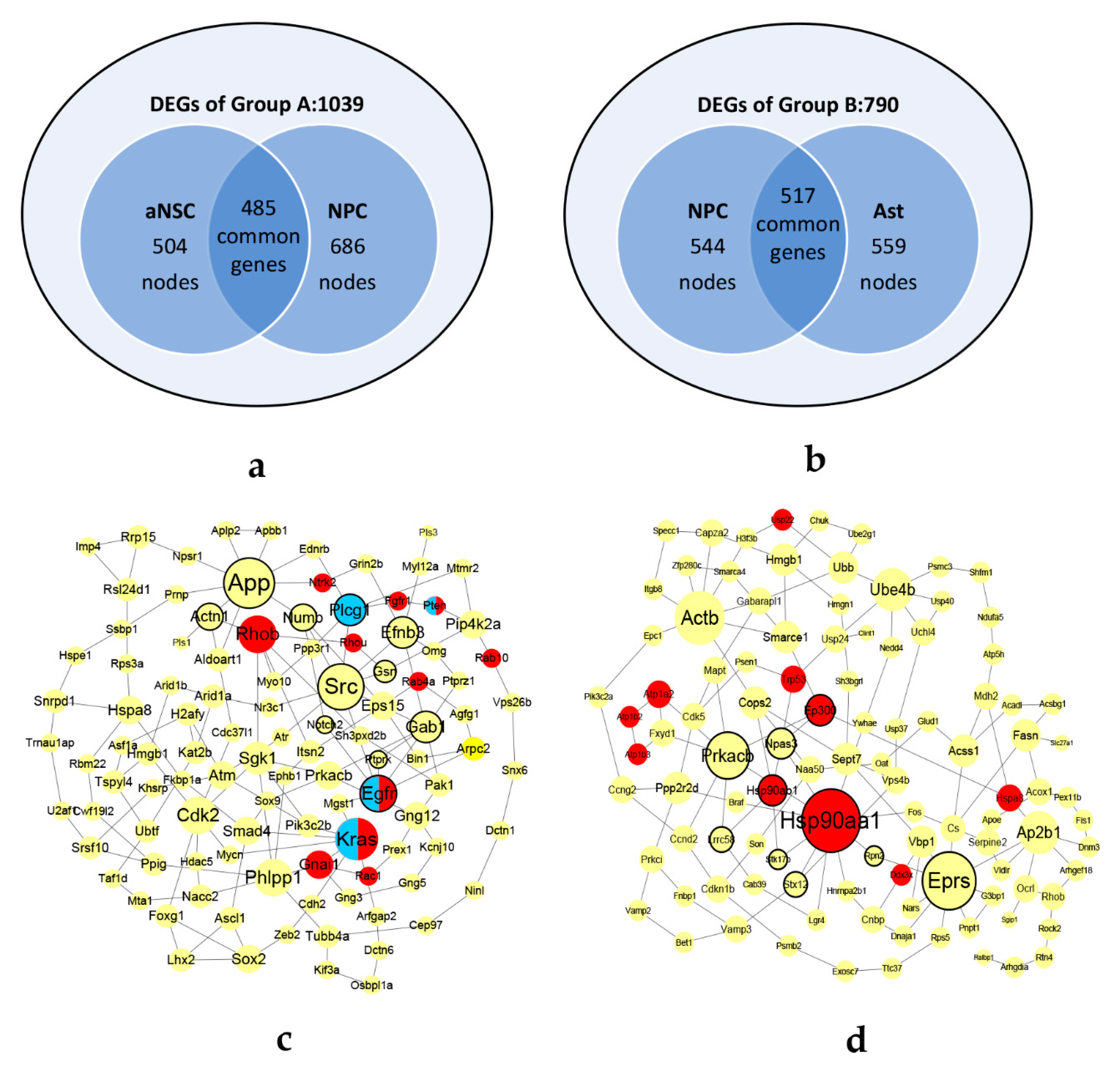 Biomolecules 10 00318 g005