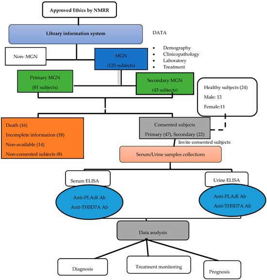 RETRACTED: Role of Serum and Urine Biomarkers (PLA2R and THSD7A 