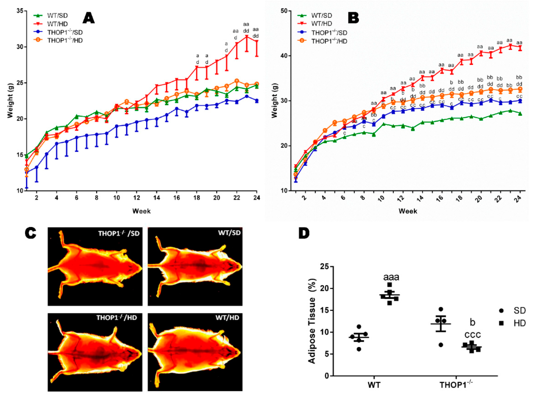 Biomolecules 10 00321 g001