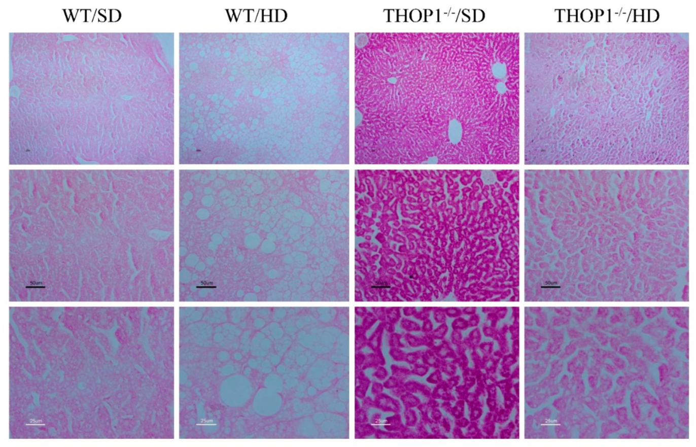 Biomolecules 10 00321 g010