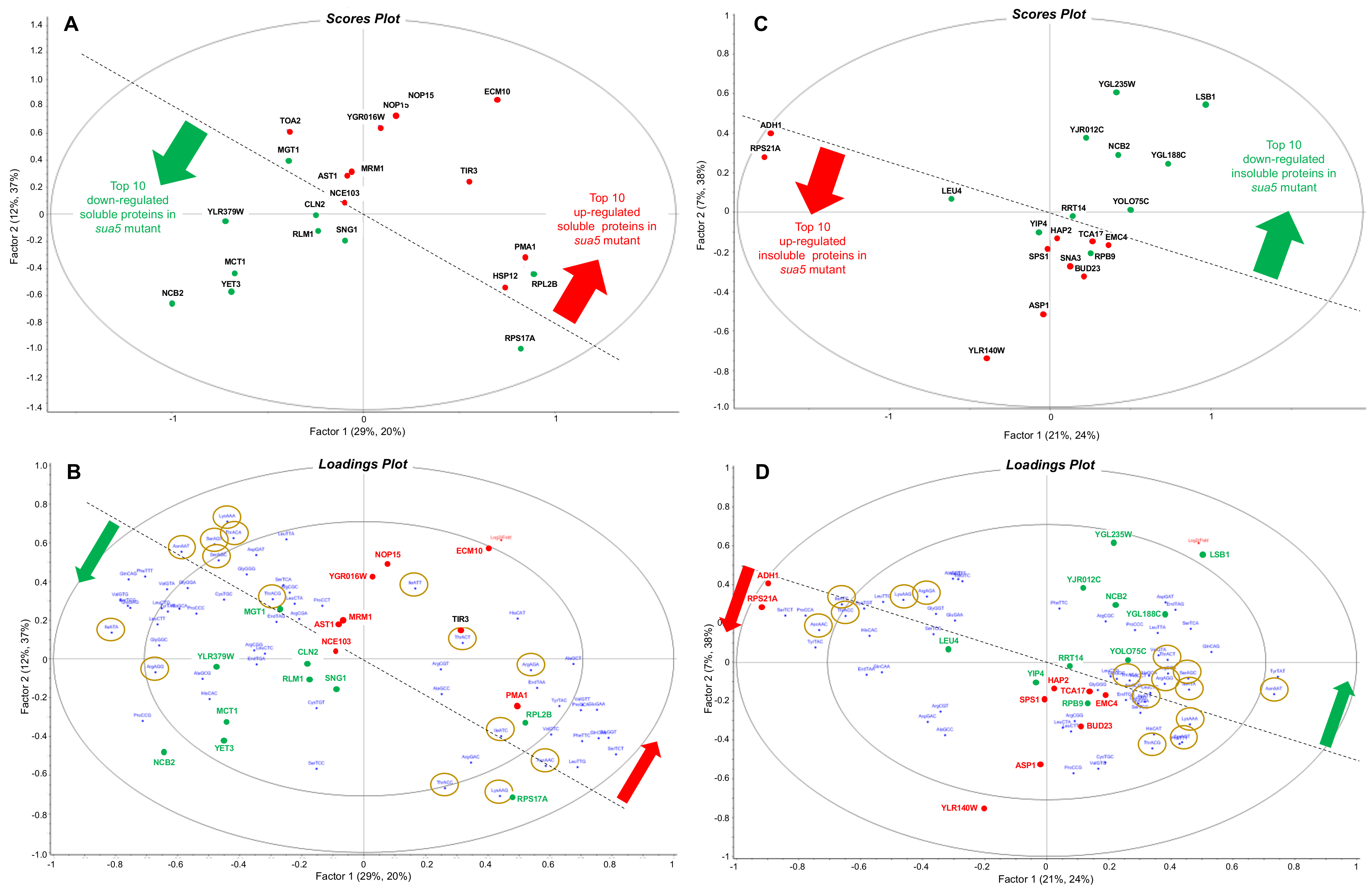 Biomolecules 10 00322 g005 Biomolecules 10 00322 g005