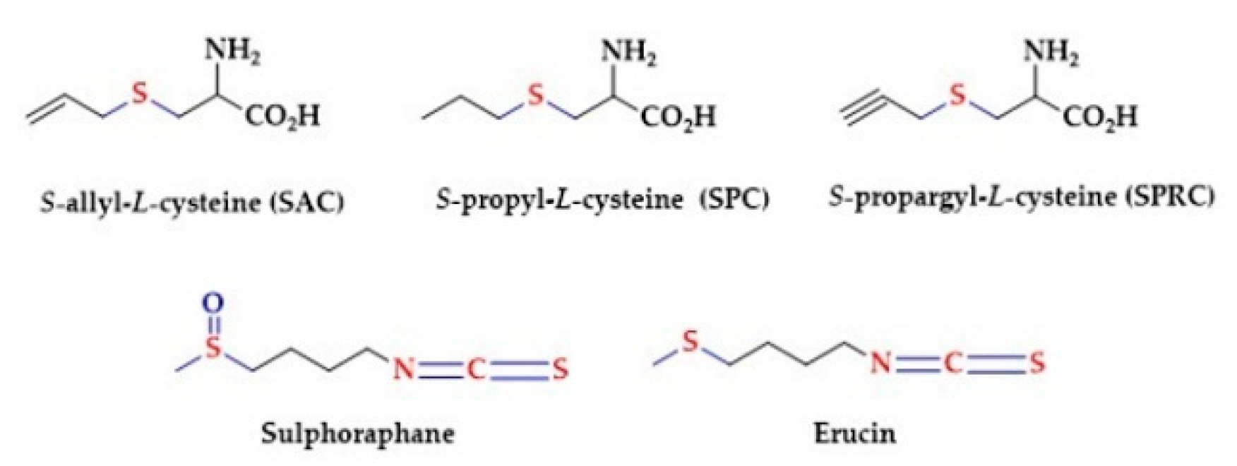 Biomolecules 10 00323 g002 Biomolecules 10 00323 g002