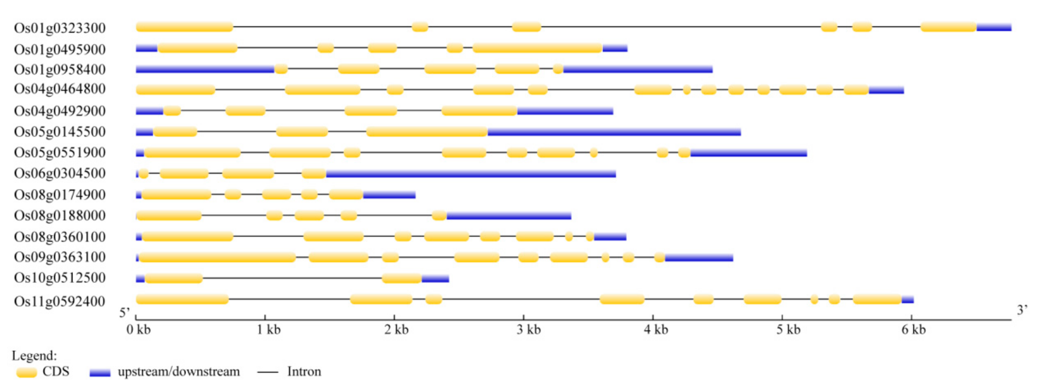 Biomolecules 10 00327 g001 Biomolecules 10 00327 g001