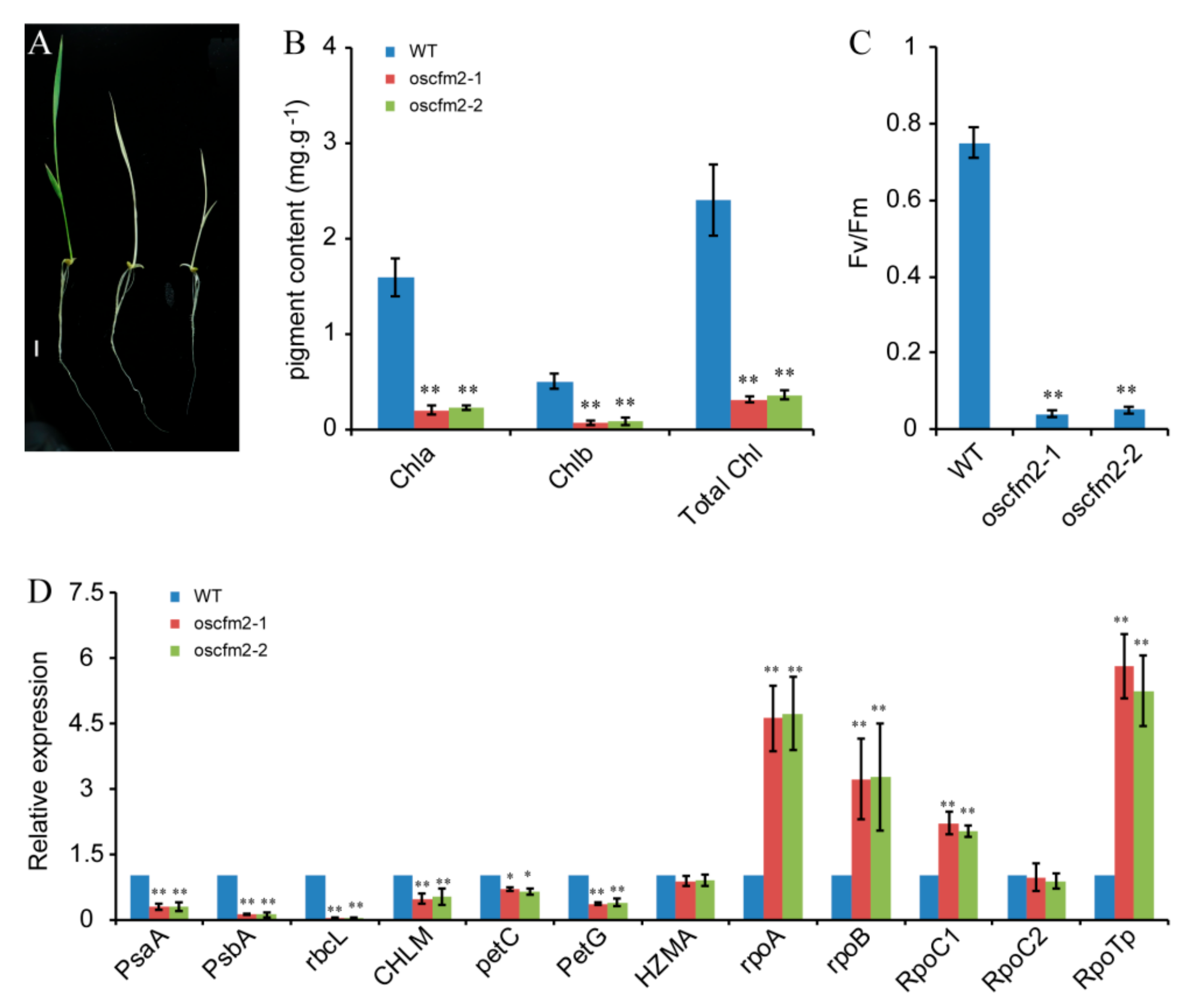 Biomolecules 10 00327 g006 Biomolecules 10 00327 g006