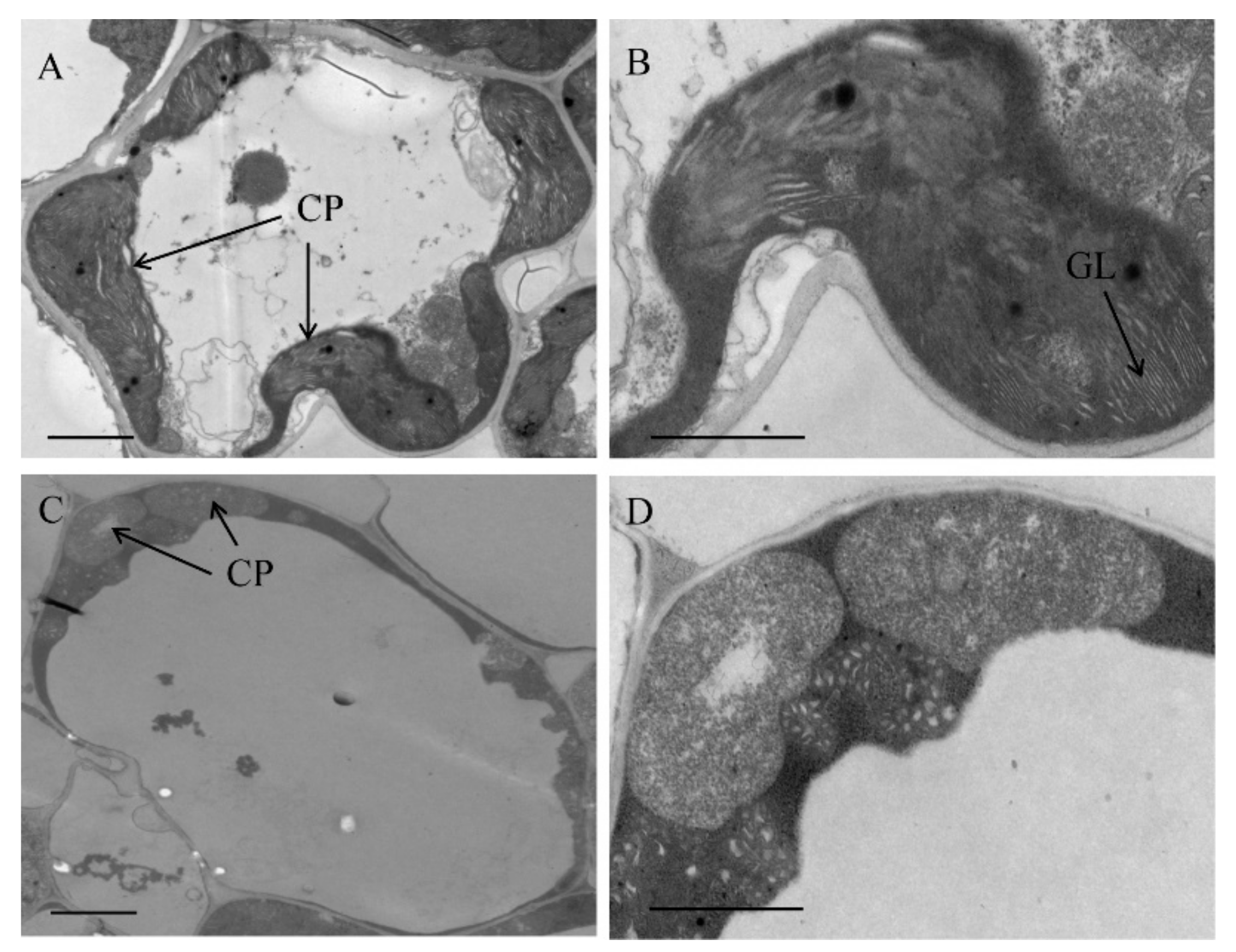 Biomolecules 10 00327 g007 Biomolecules 10 00327 g007