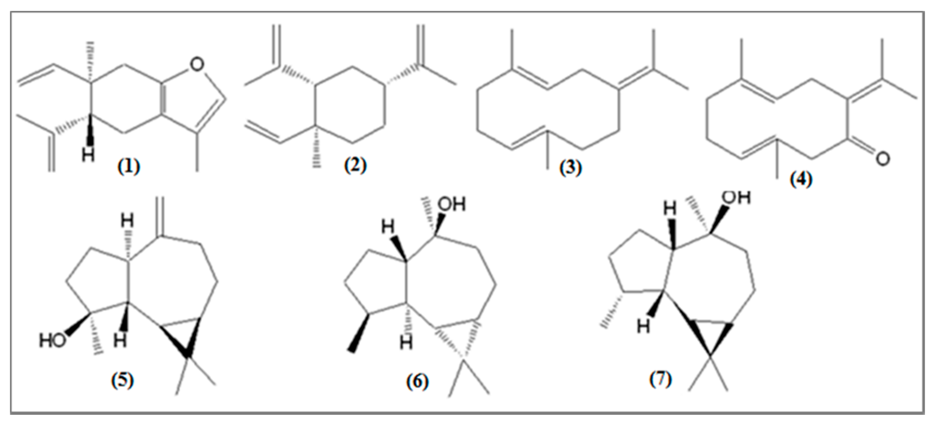 Biomolecules 10 00328 g004 Biomolecules 10 00328 g004