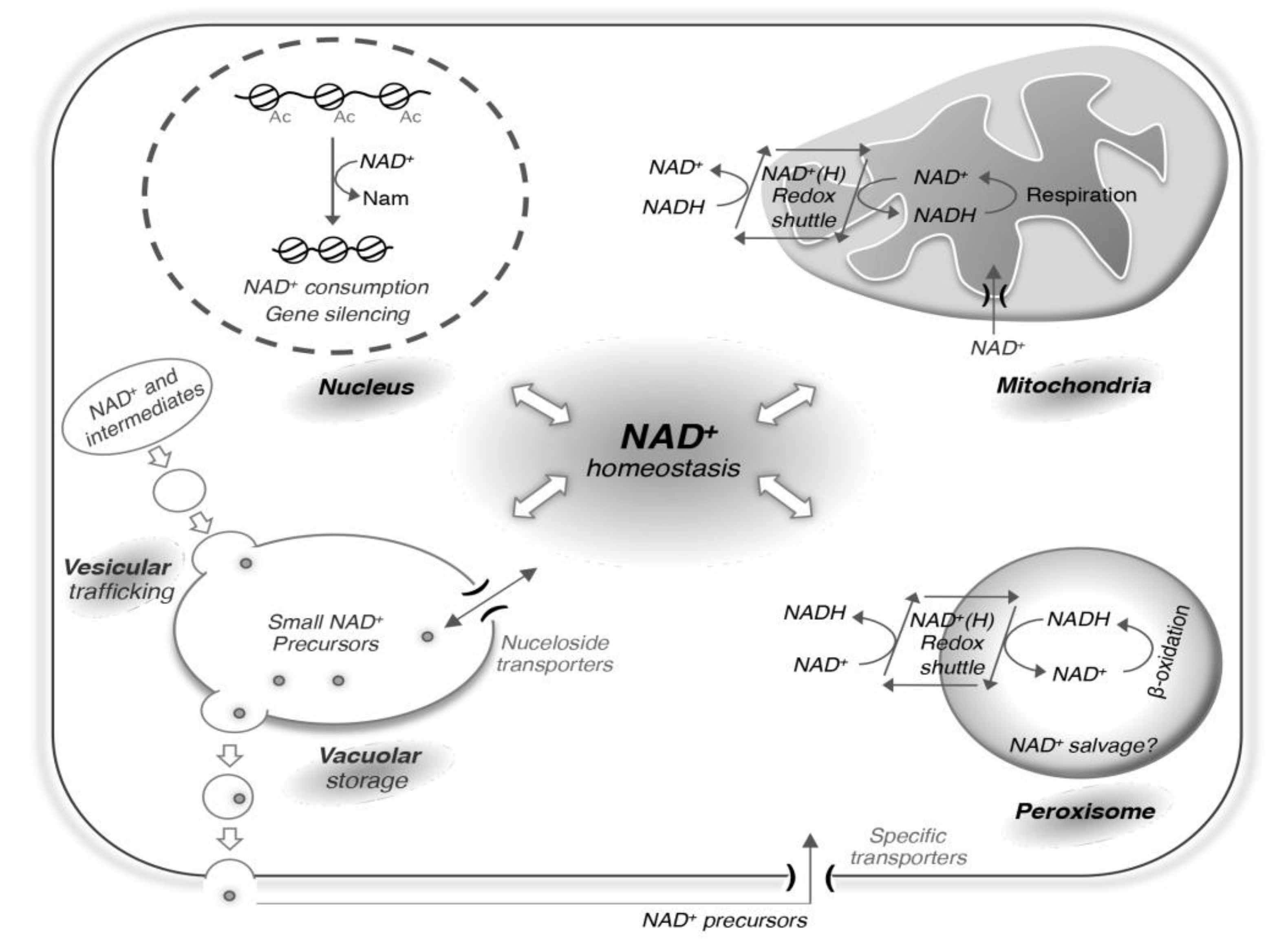 Biomolecules 10 00330 g002 Biomolecules 10 00330 g002