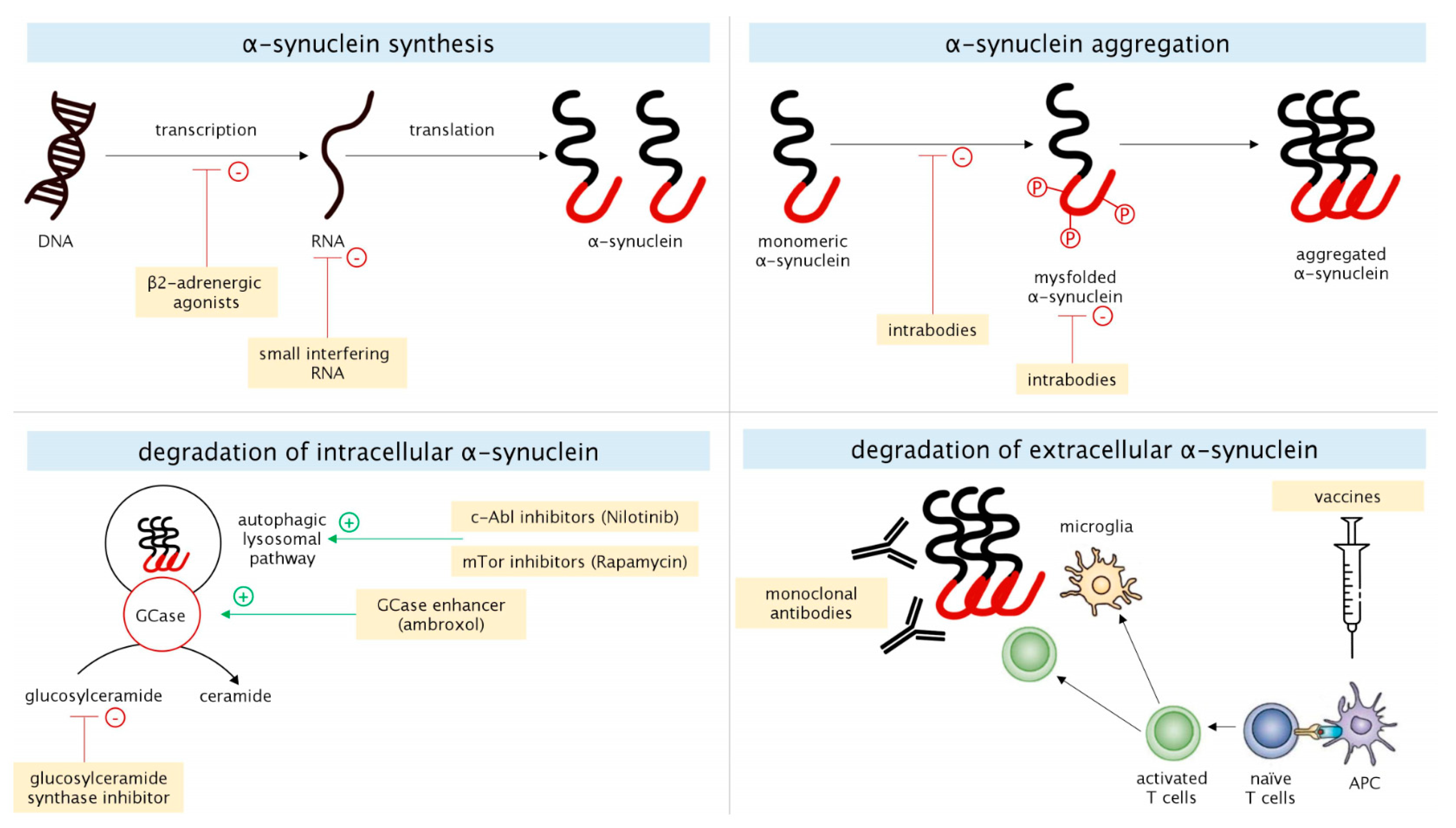 Biomolecules 10 00335 g001 Biomolecules 10 00335 g001
