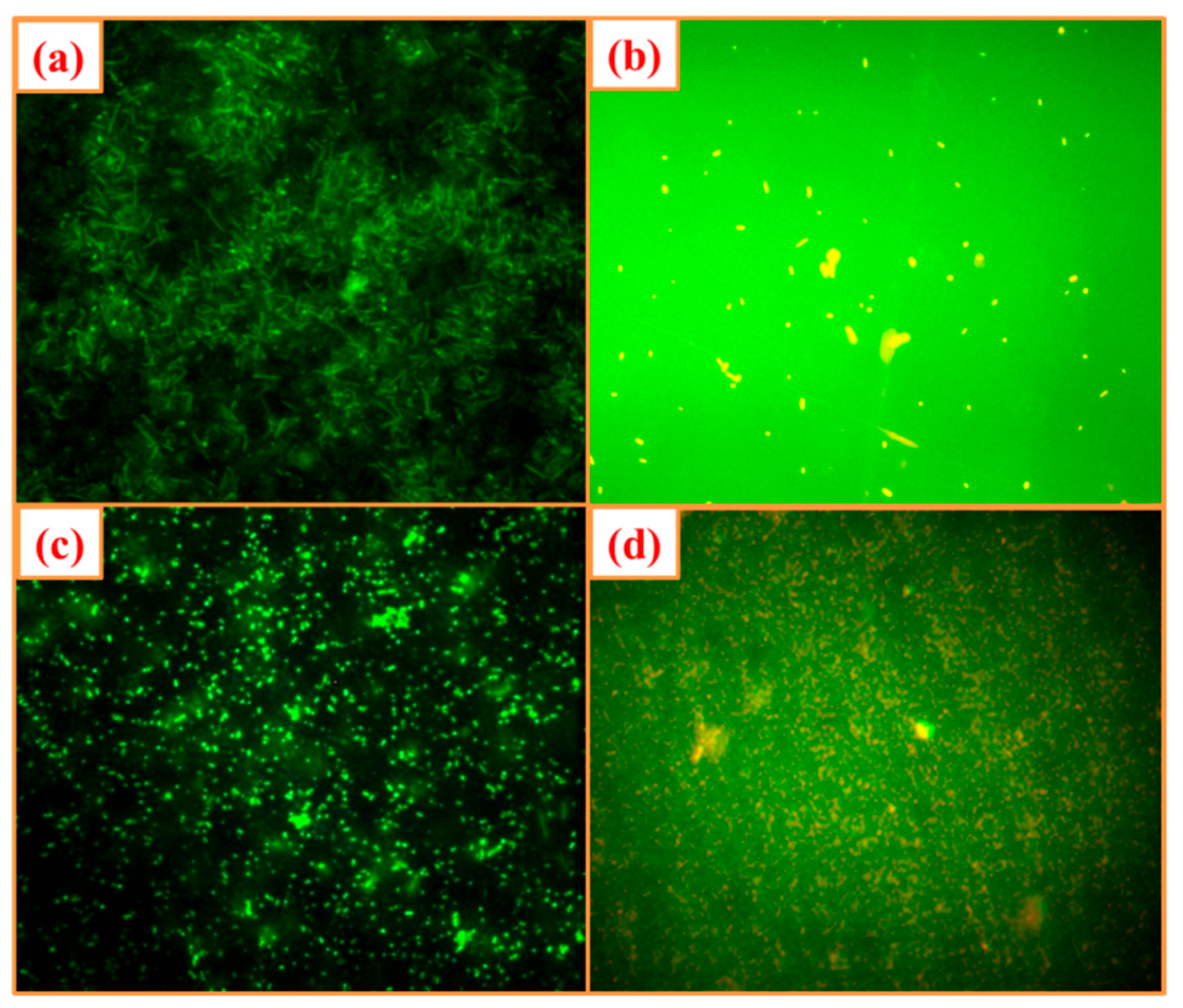 Biomolecules 10 00336 g008 Biomolecules 10 00336 g008