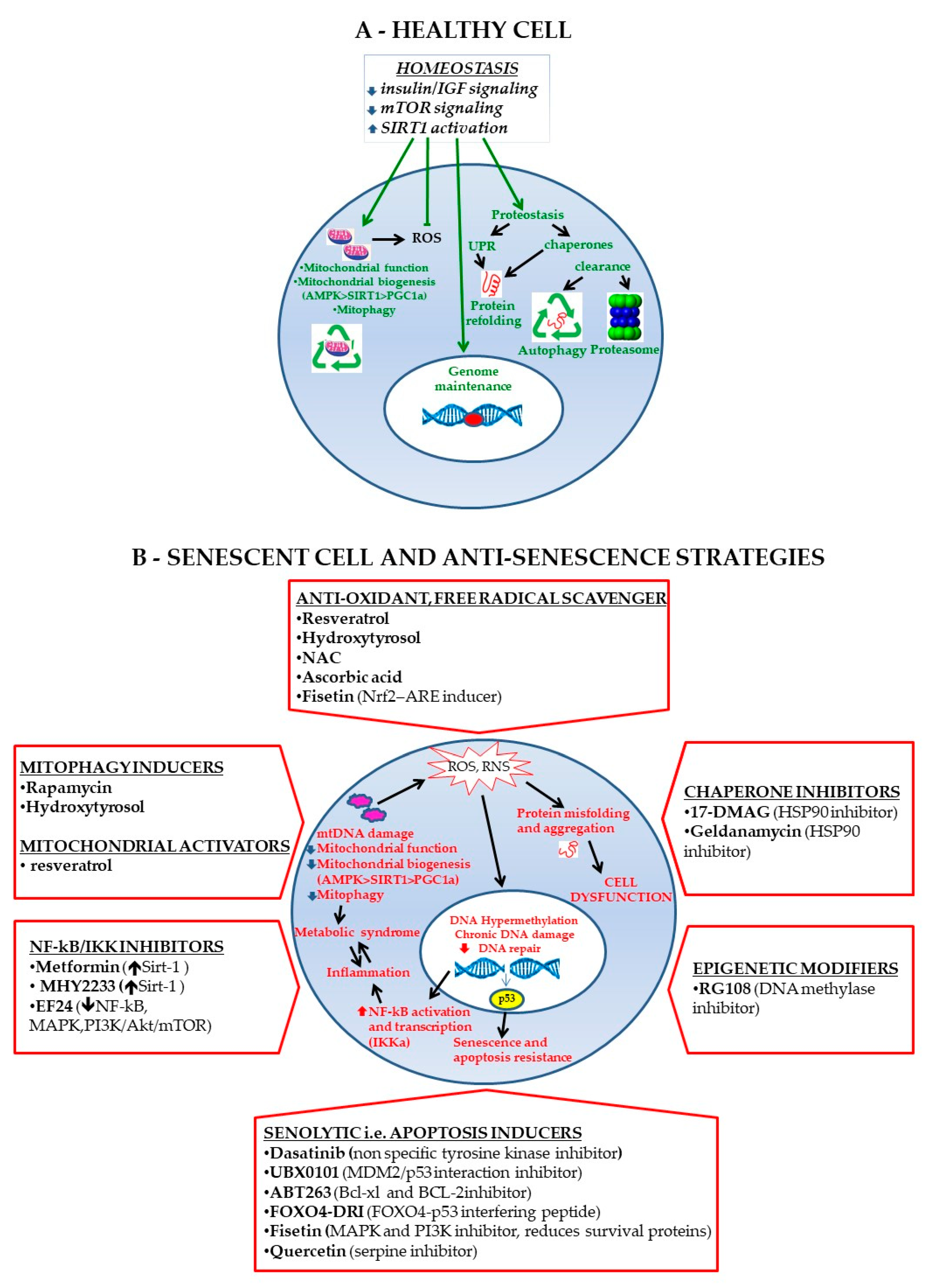 Biomolecules 10 00340 g002 Biomolecules 10 00340 g002