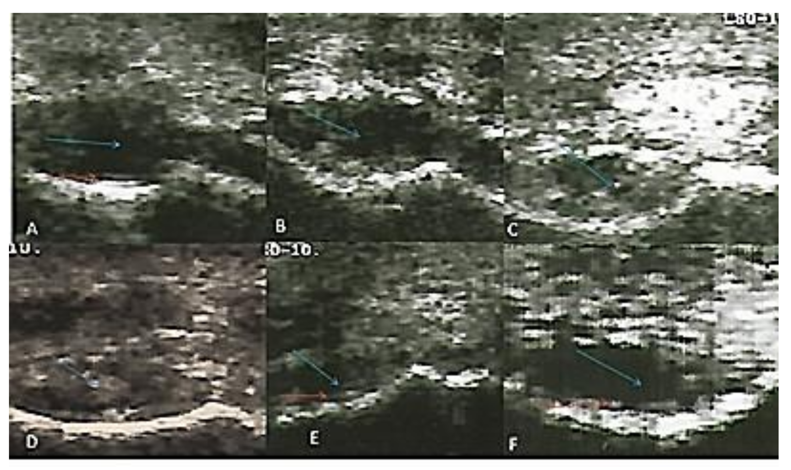 Biomolecules 10 00354 g002 Biomolecules 10 00354 g002