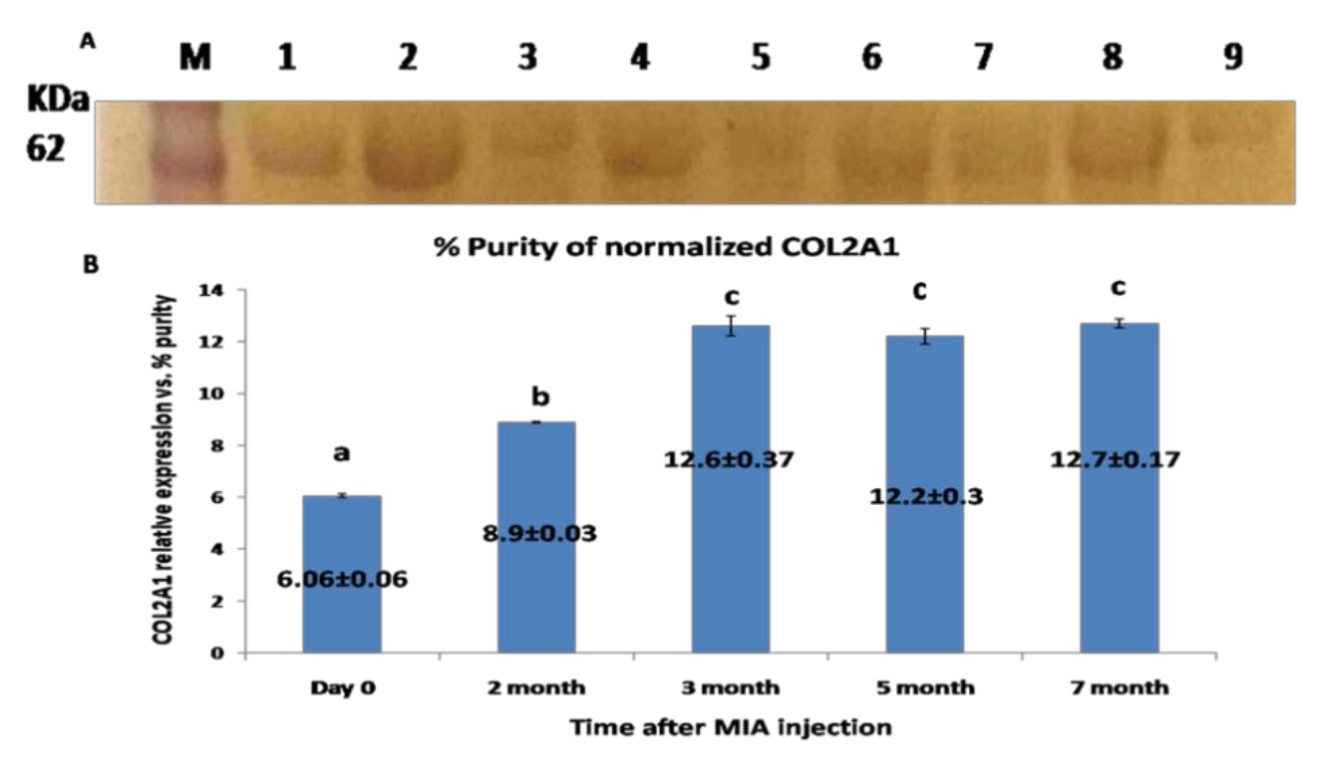 Biomolecules 10 00354 g006 Biomolecules 10 00354 g006