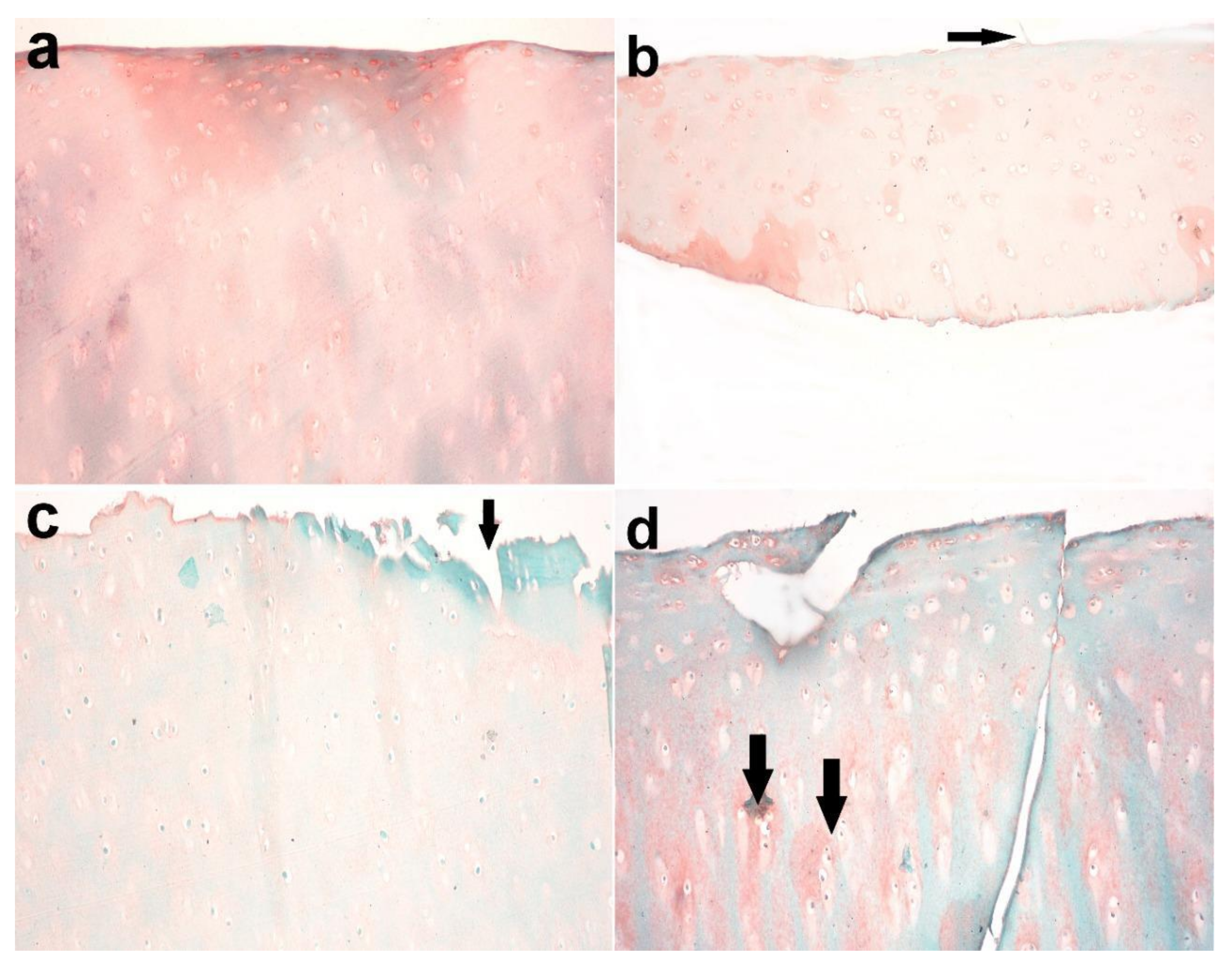 Biomolecules 10 00354 g009 Biomolecules 10 00354 g009
